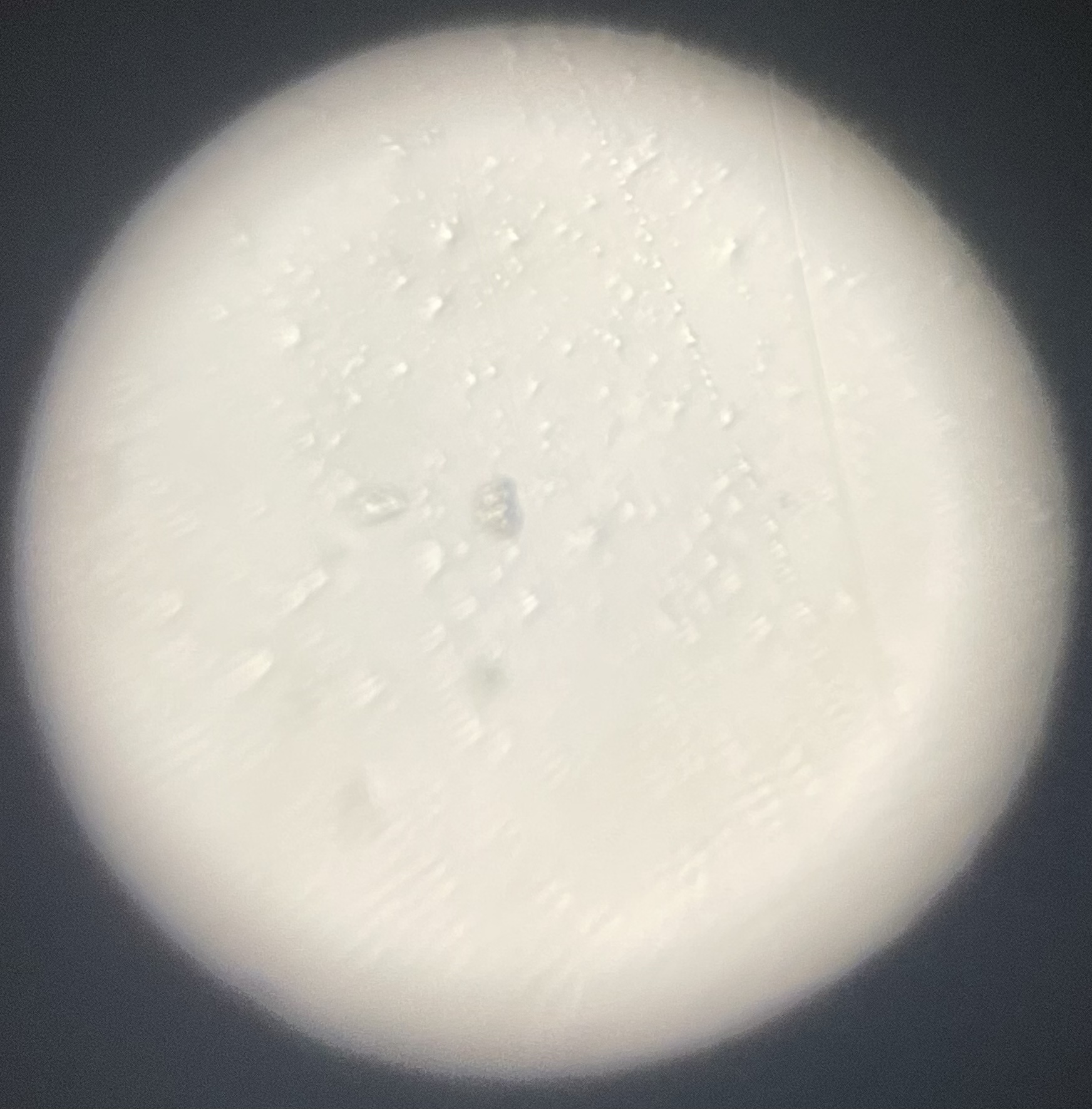 NaN%2F5476B426-5CAA-4899-964F-98665BF5AB58.jpeg?alt=media&token=d66abacd-5588-4d83-9f47-743b72d4fd78