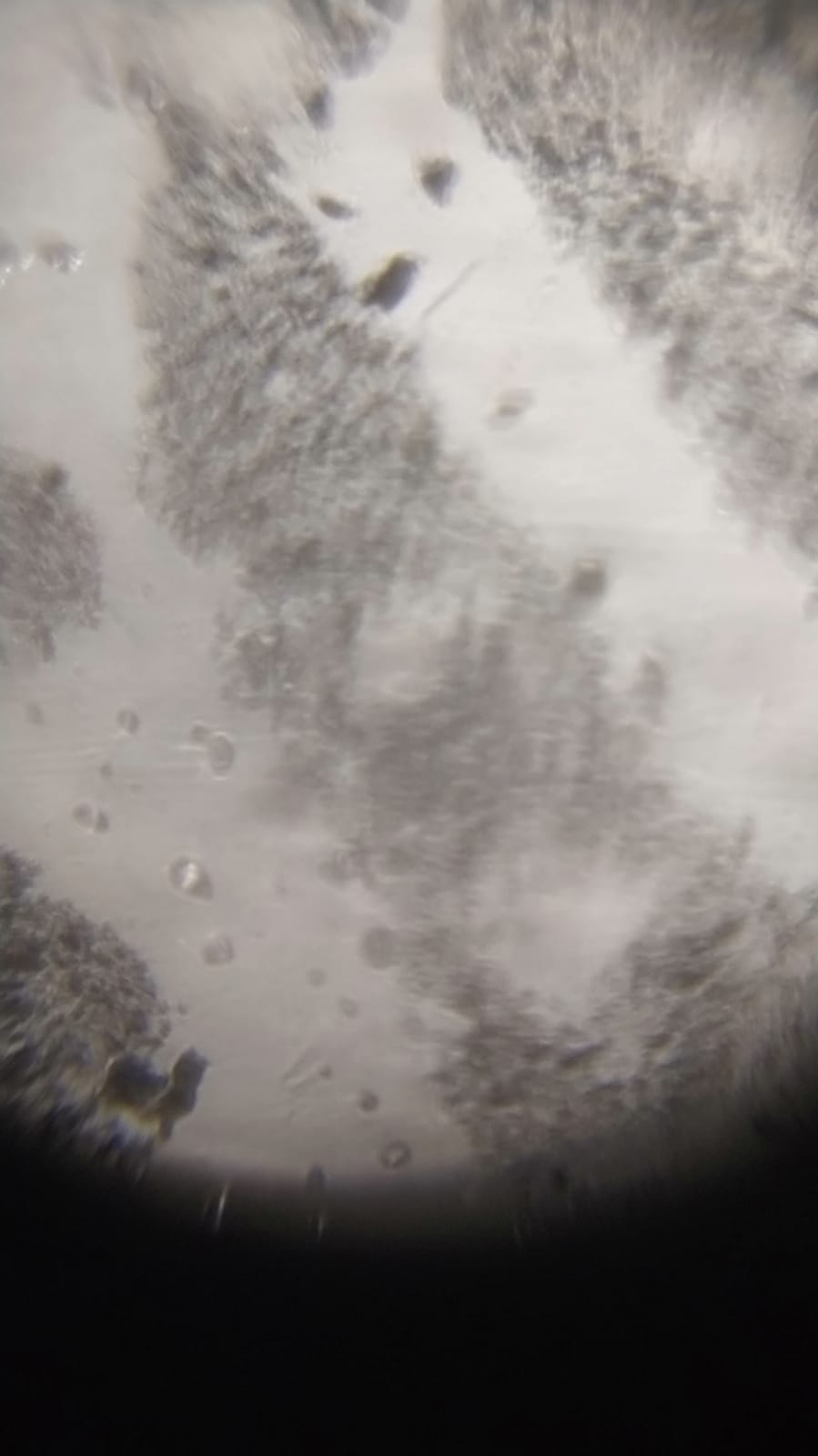 NaN%2FIMG-20240529-WA0068.jpg?alt=media&token=9b932660-1d58-4d1b-bc40-2357e6b10594