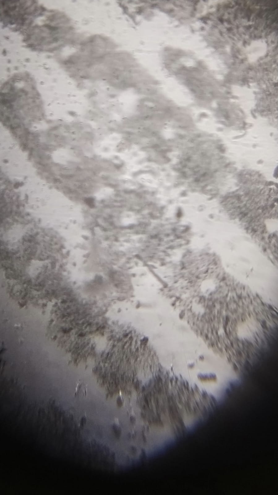 NaN%2FIMG-20240529-WA0071.jpg?alt=media&token=3d181e67-2e4e-4188-98fa-f707cb2f217c