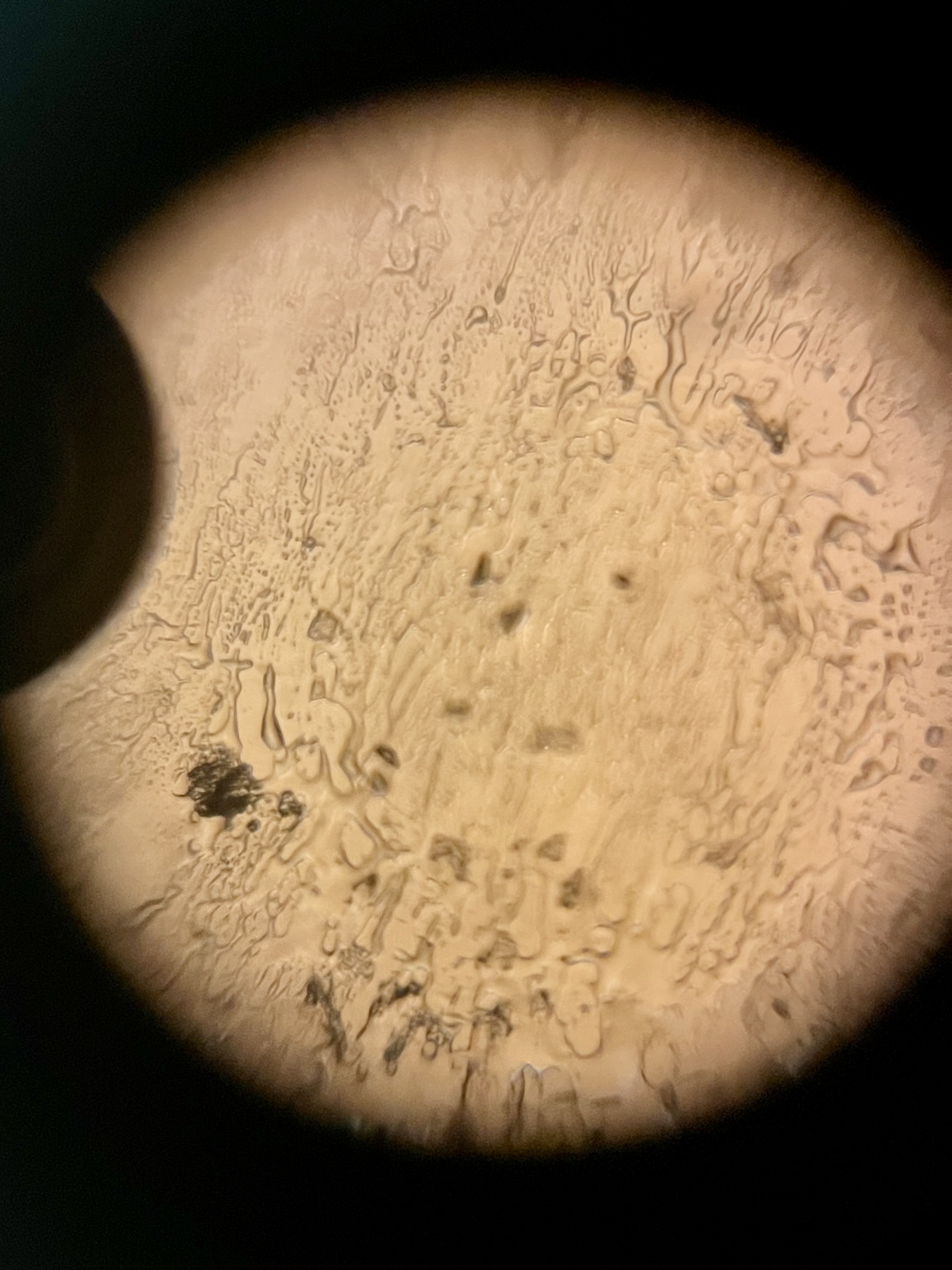 NaN%2FIMG_0766.jpeg?alt=media&token=11c5c336-1fbc-47f0-b0f1-3e517abc4703