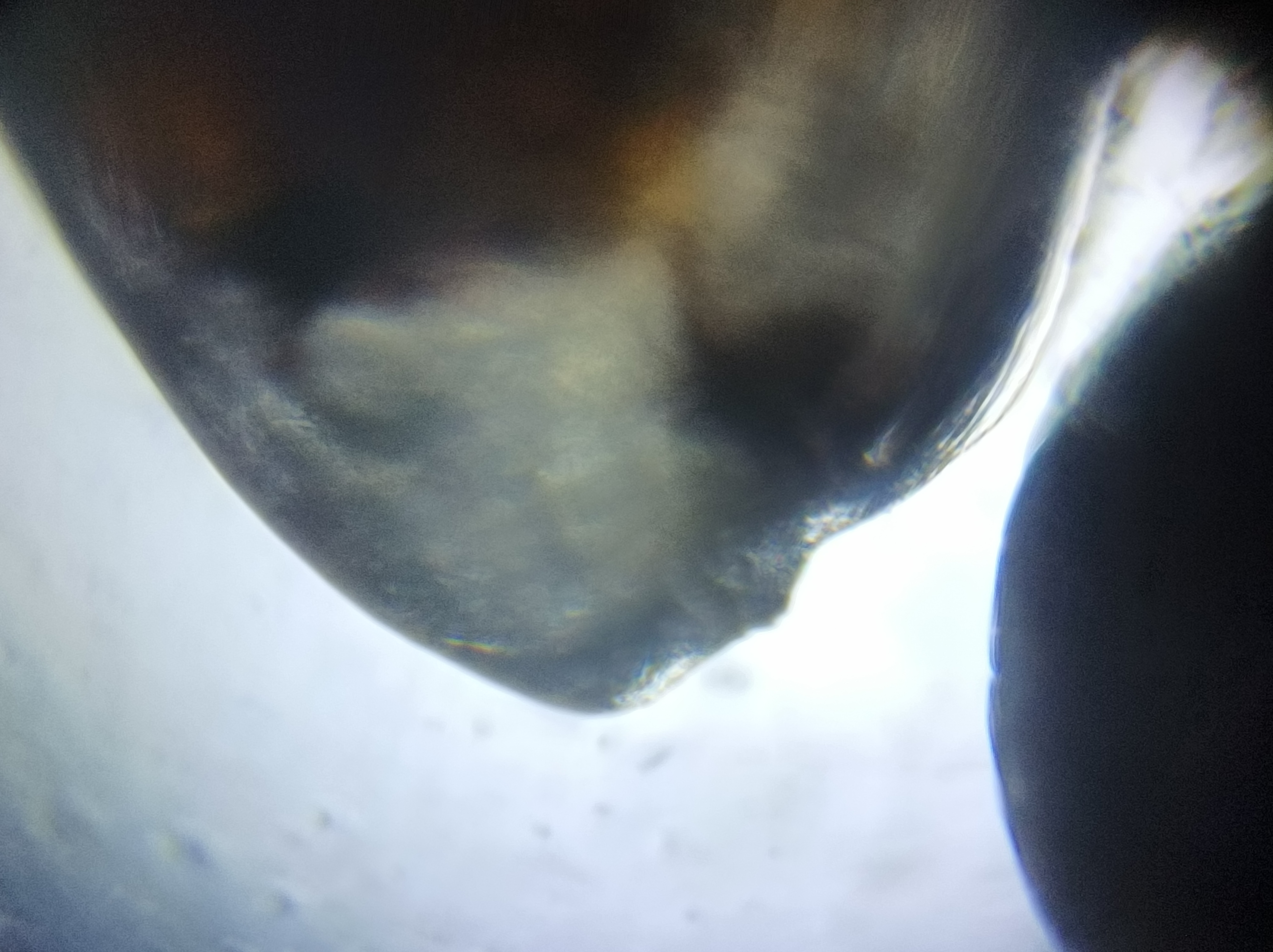 NaN%2FIMG_20221031_000438.jpg?alt=media&token=64de48d5-9fd2-414a-9be8-0d35277003de