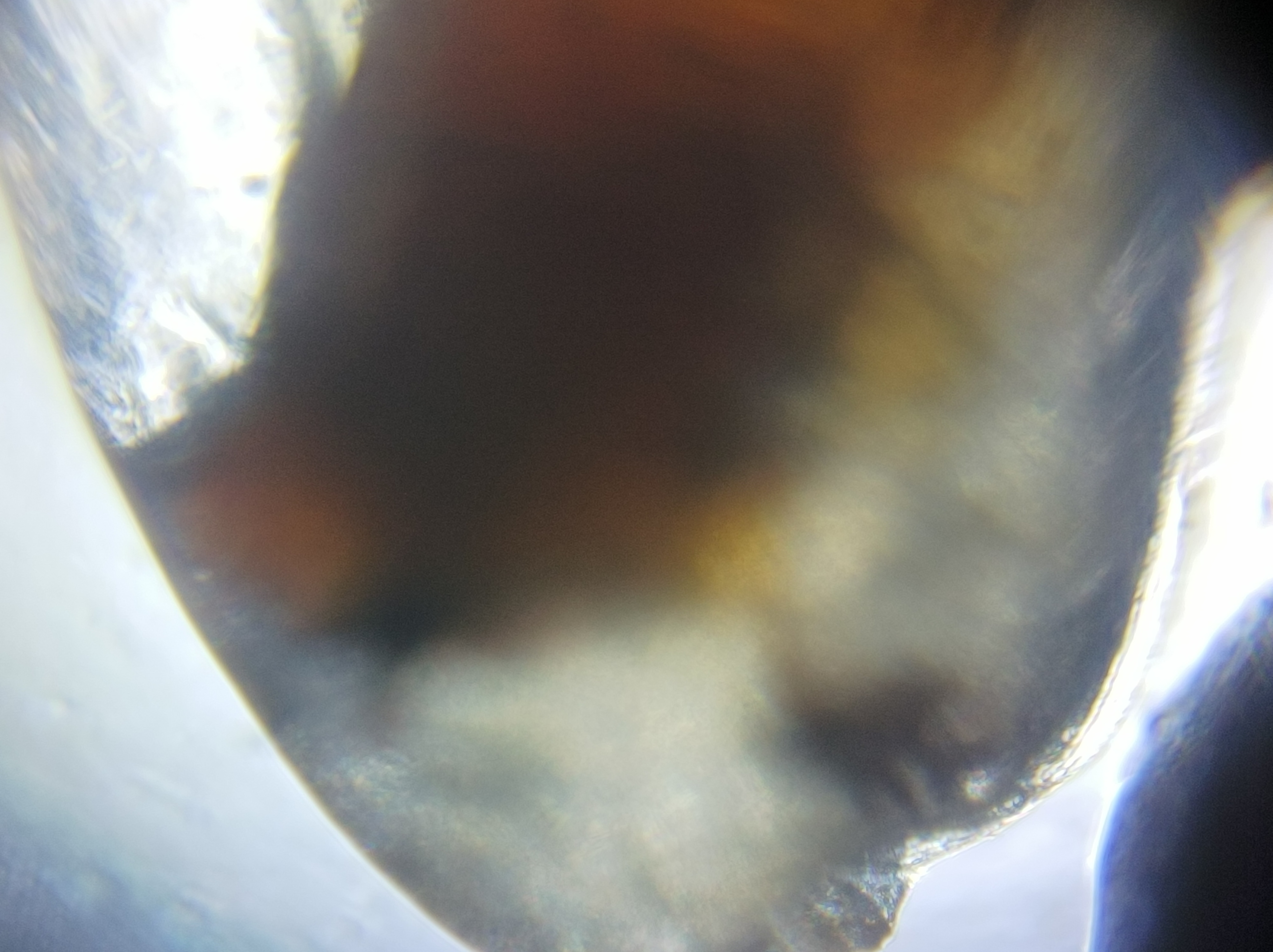 NaN%2FIMG_20221031_000452.jpg?alt=media&token=59255abc-1be5-4c38-901d-c6b1b1793f55