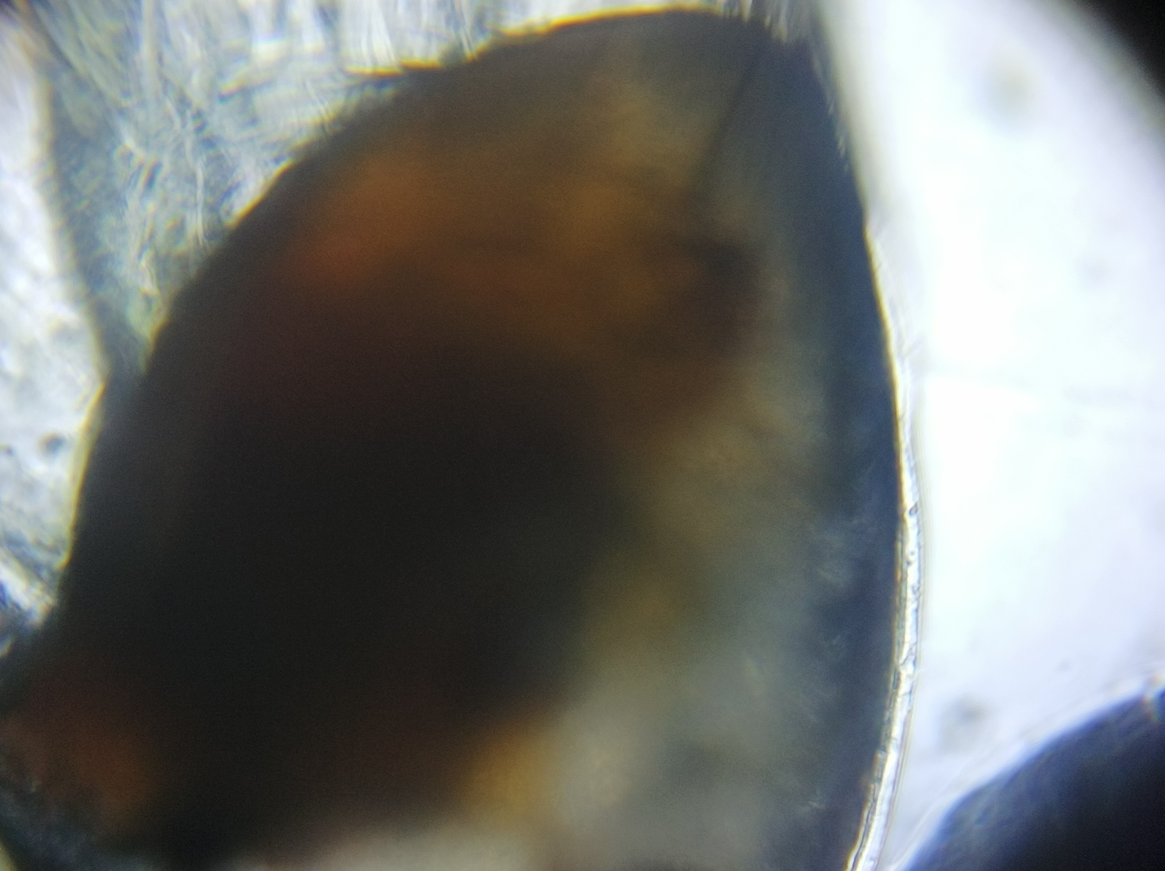 NaN%2FIMG_20221031_000514.jpg?alt=media&token=be33cc3d-4096-4867-895e-d2b3f5e6de04