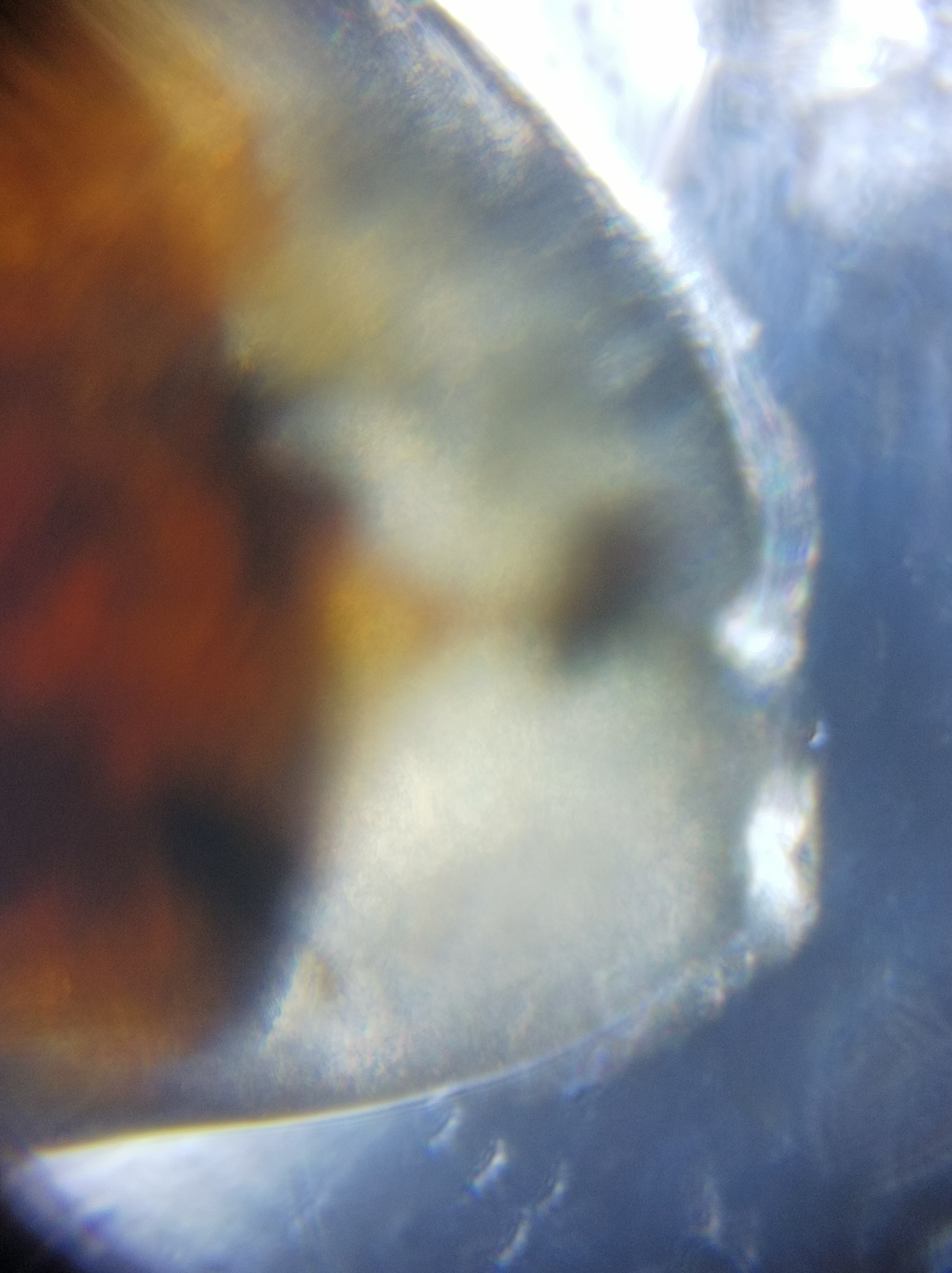 NaN%2FIMG_20221031_000812.jpg?alt=media&token=3c567d66-868b-4fa2-9ee5-827eb68e561d