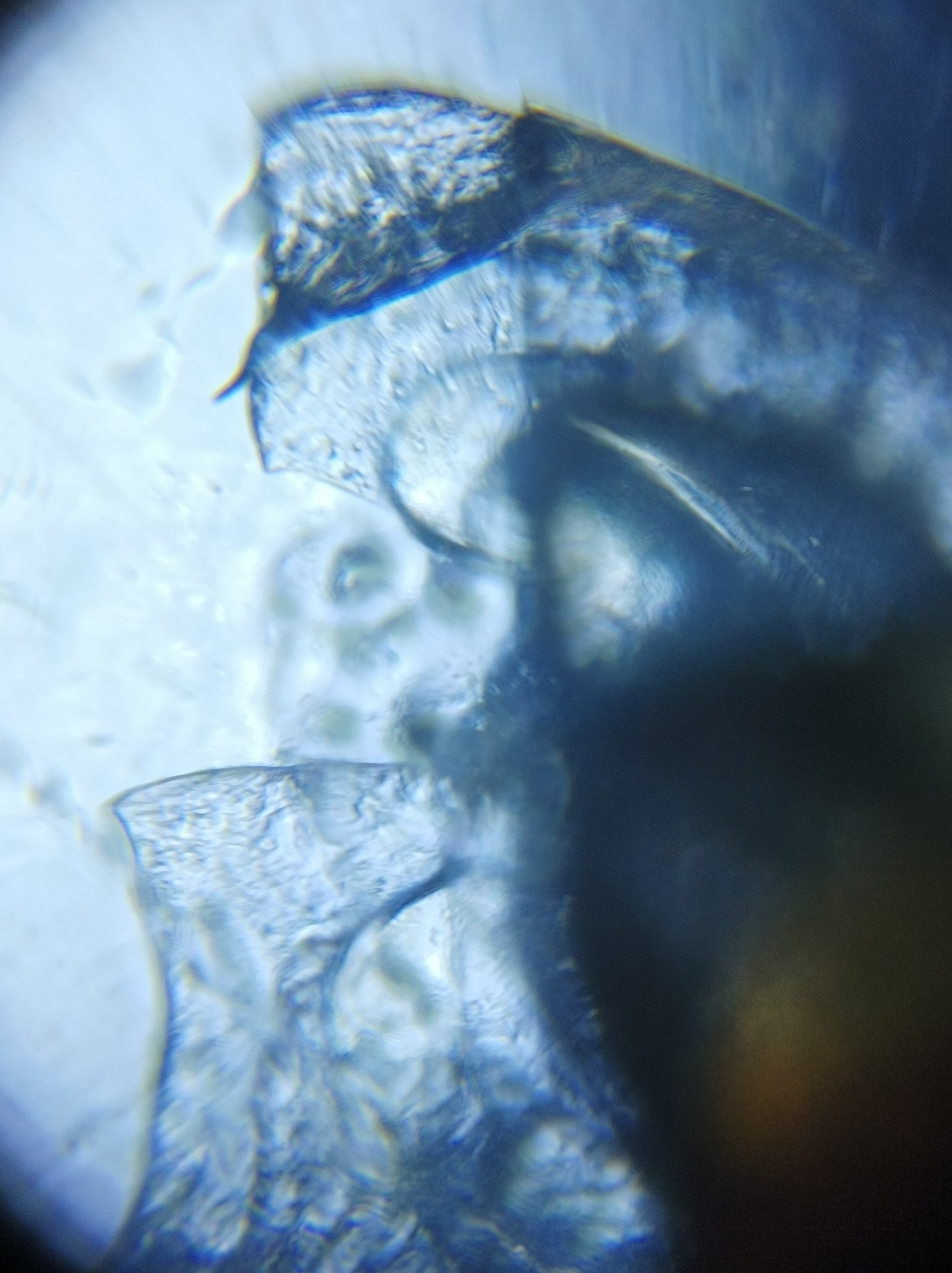 NaN%2FIMG_20221031_000824.jpg?alt=media&token=fe4187d4-62aa-468b-a55c-a685784b1cfd