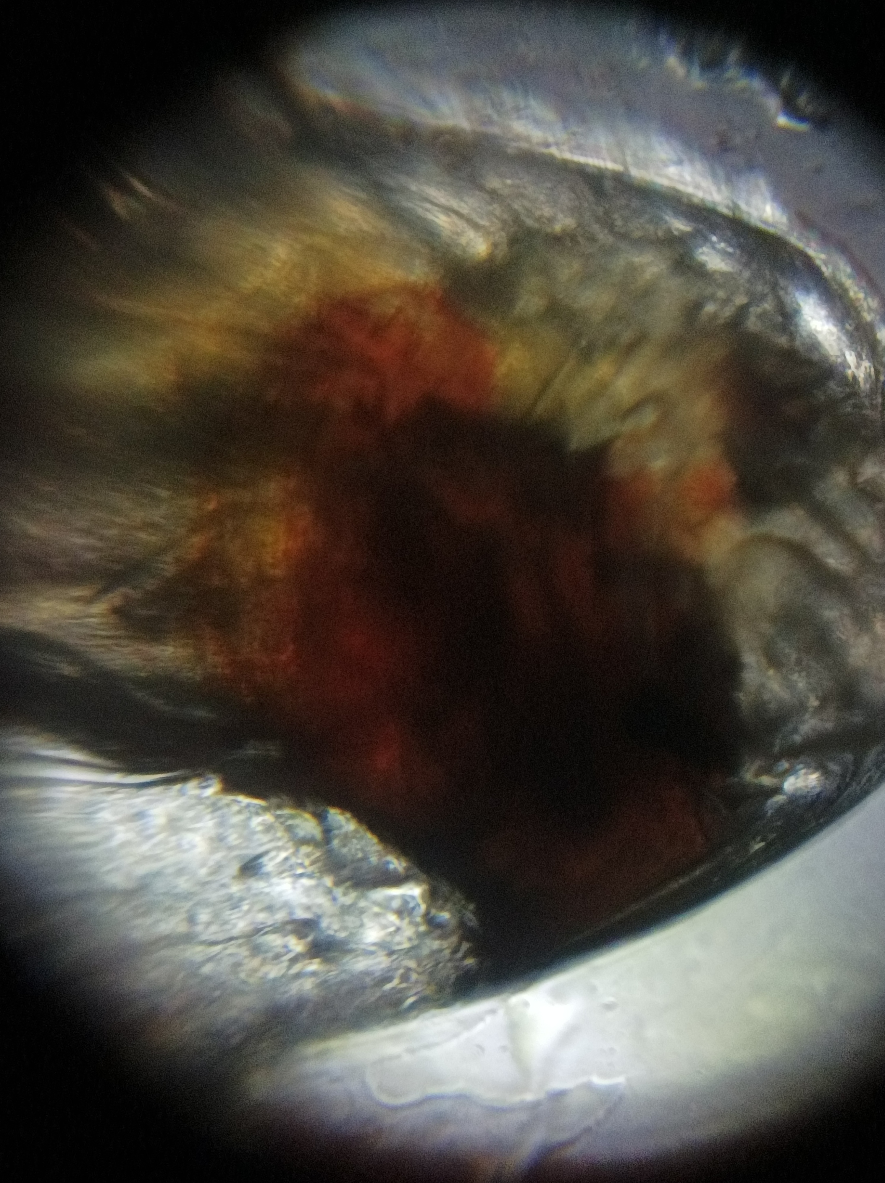 NaN%2FIMG_20221031_001254.jpg?alt=media&token=d2ed6685-1f0b-4e89-81ff-7240516d17ec