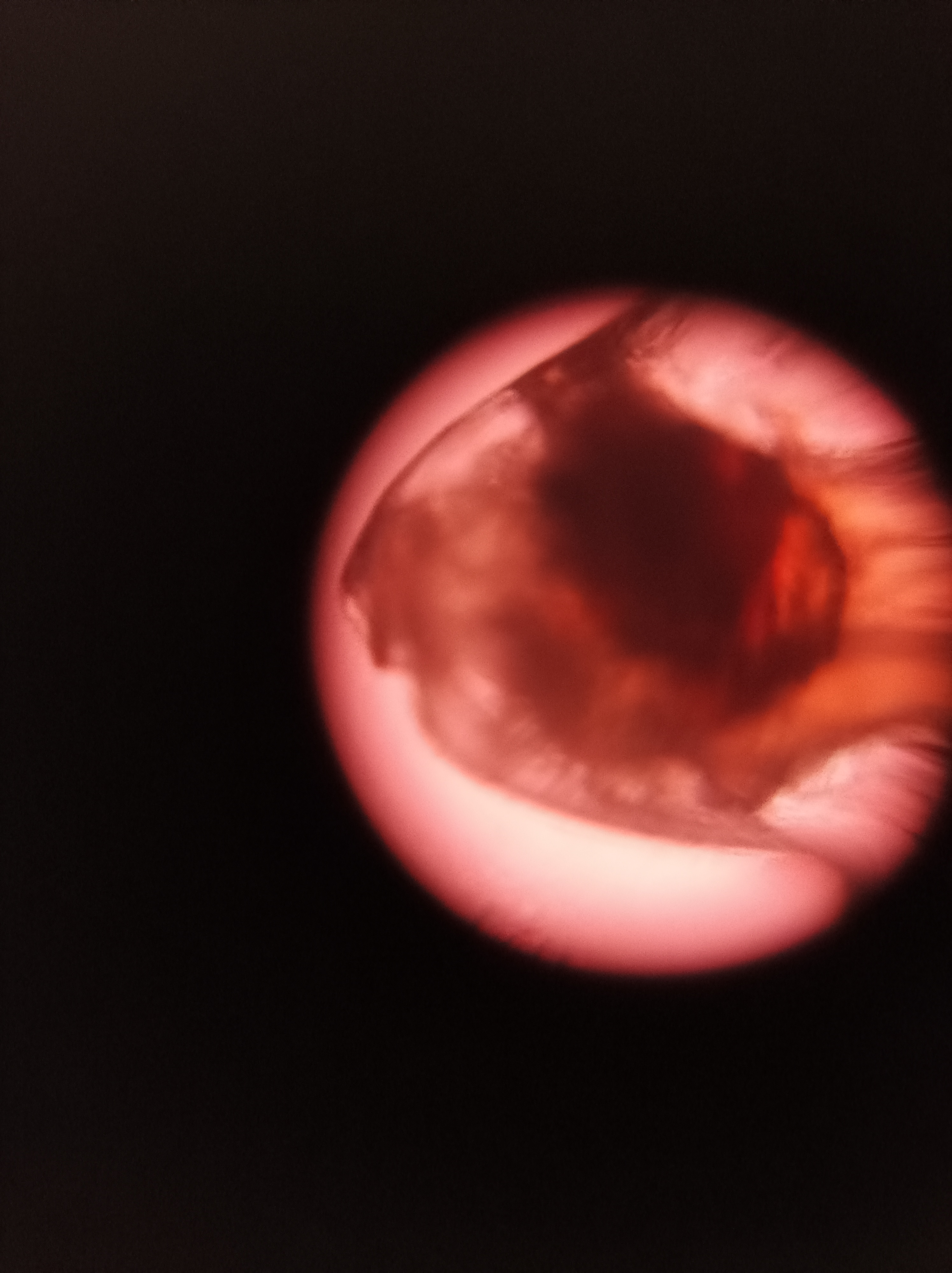 NaN%2FIMG_20221031_093553.jpg?alt=media&token=ec3e09ab-96d9-4869-9e25-70db94c6cfb2