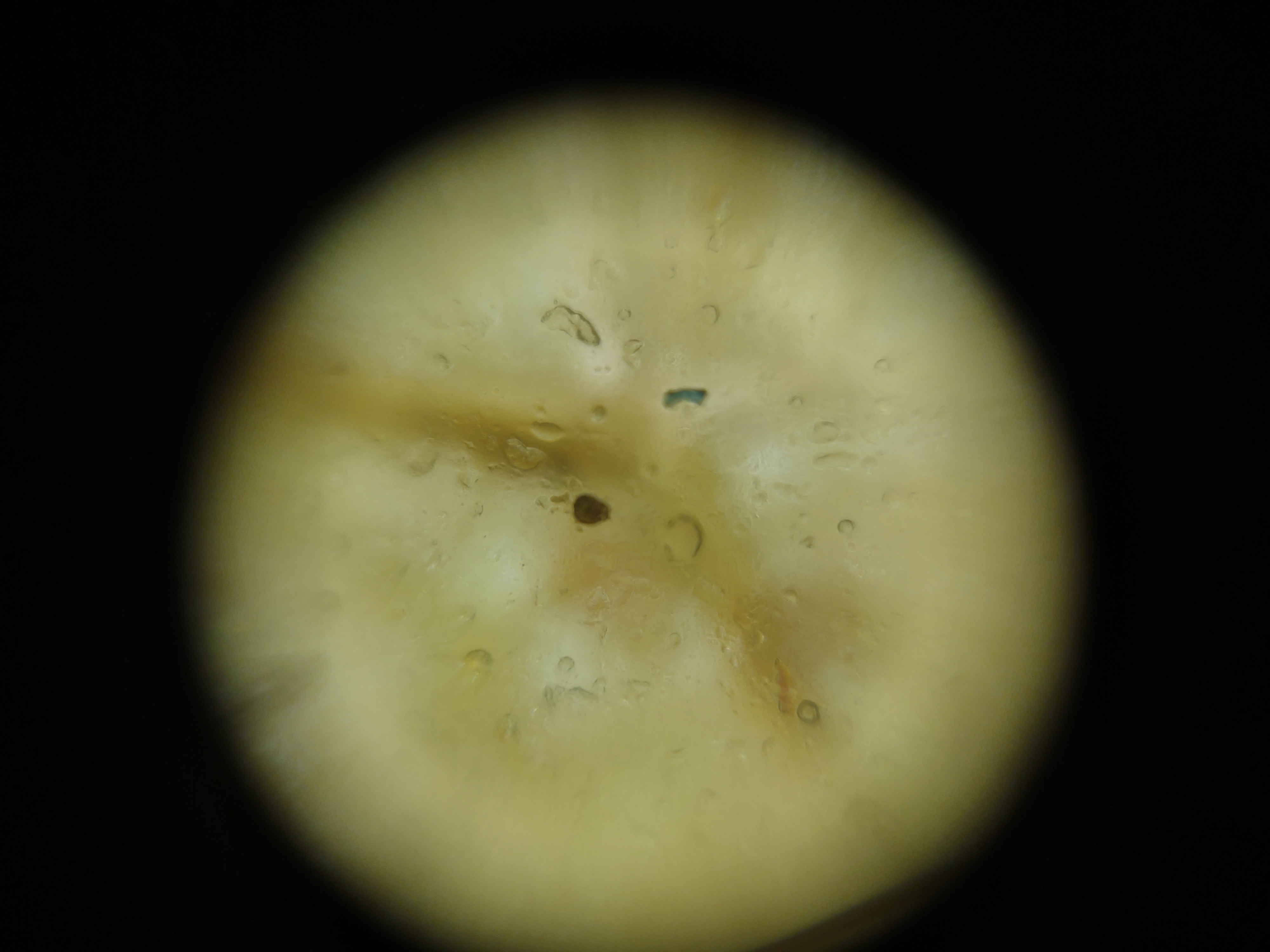 NaN%2FIMG_20221130_145106469.jpg?alt=media&token=df30dcde-c4f6-474e-a23b-c314a0a768c1