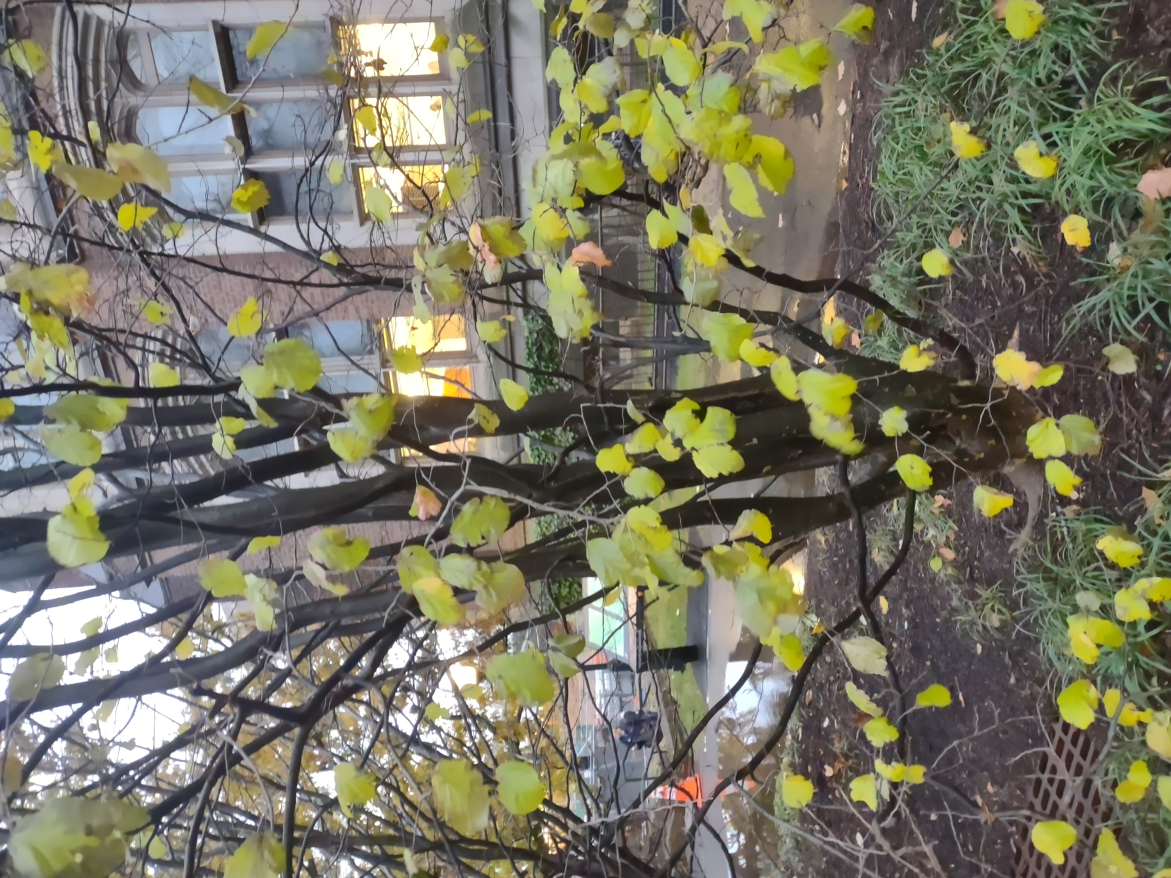 NaN%2FIMG_20221130_161144067.jpg?alt=media&token=c0507dcf-9892-47cb-ab6e-d98930775aa7