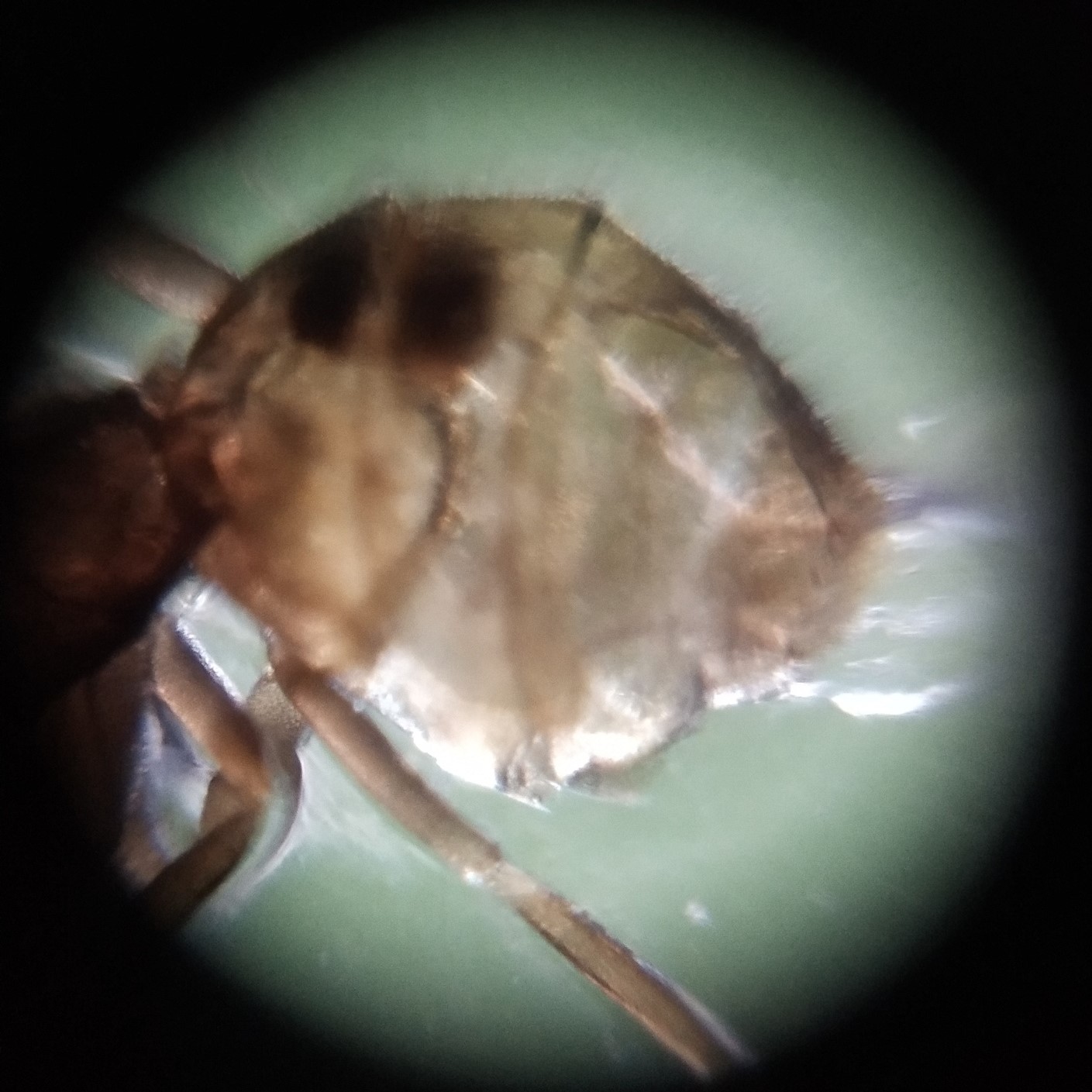 NaN%2FIMG_20230111_133743.jpg?alt=media&token=59be7e97-c86e-45dd-9749-e0fbed47750b