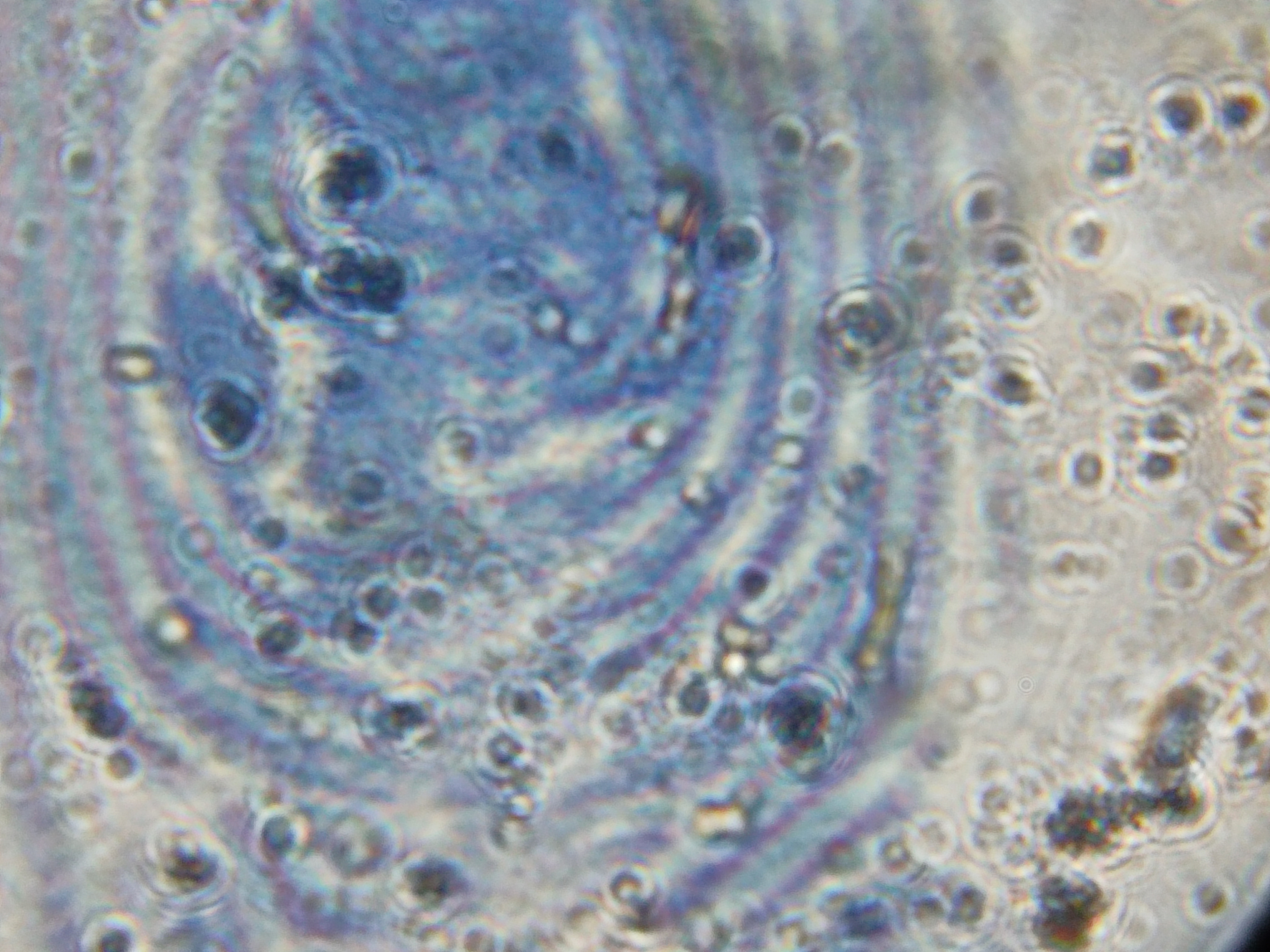 NaN%2FIMG_20230301_140128.jpg?alt=media&token=08a395eb-4600-4edc-933c-4419fe5a4035