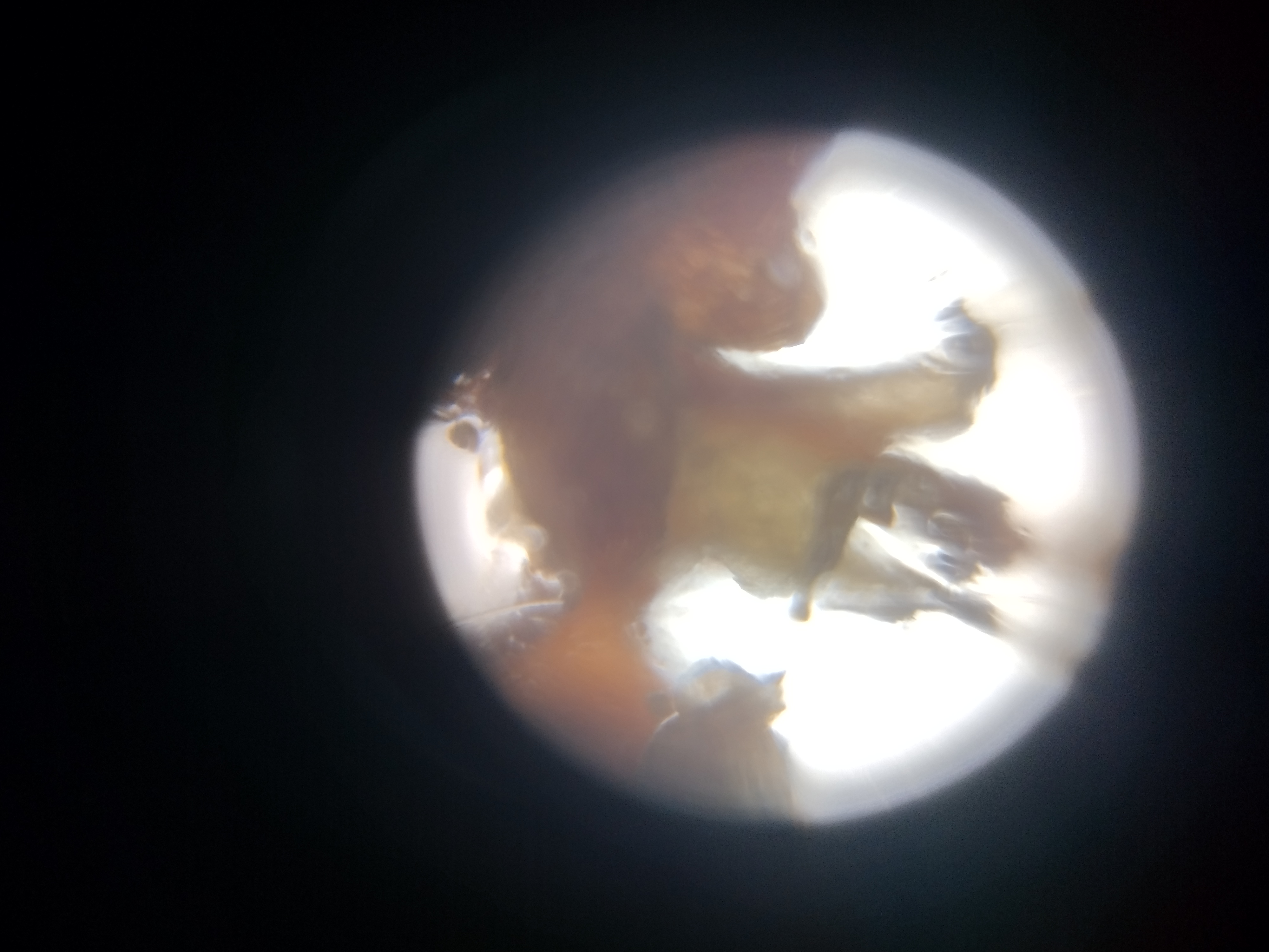 NaN%2FIMG_20230412_153456911_MP.jpg?alt=media&token=537d390d-992d-4679-b480-5d41996ac705