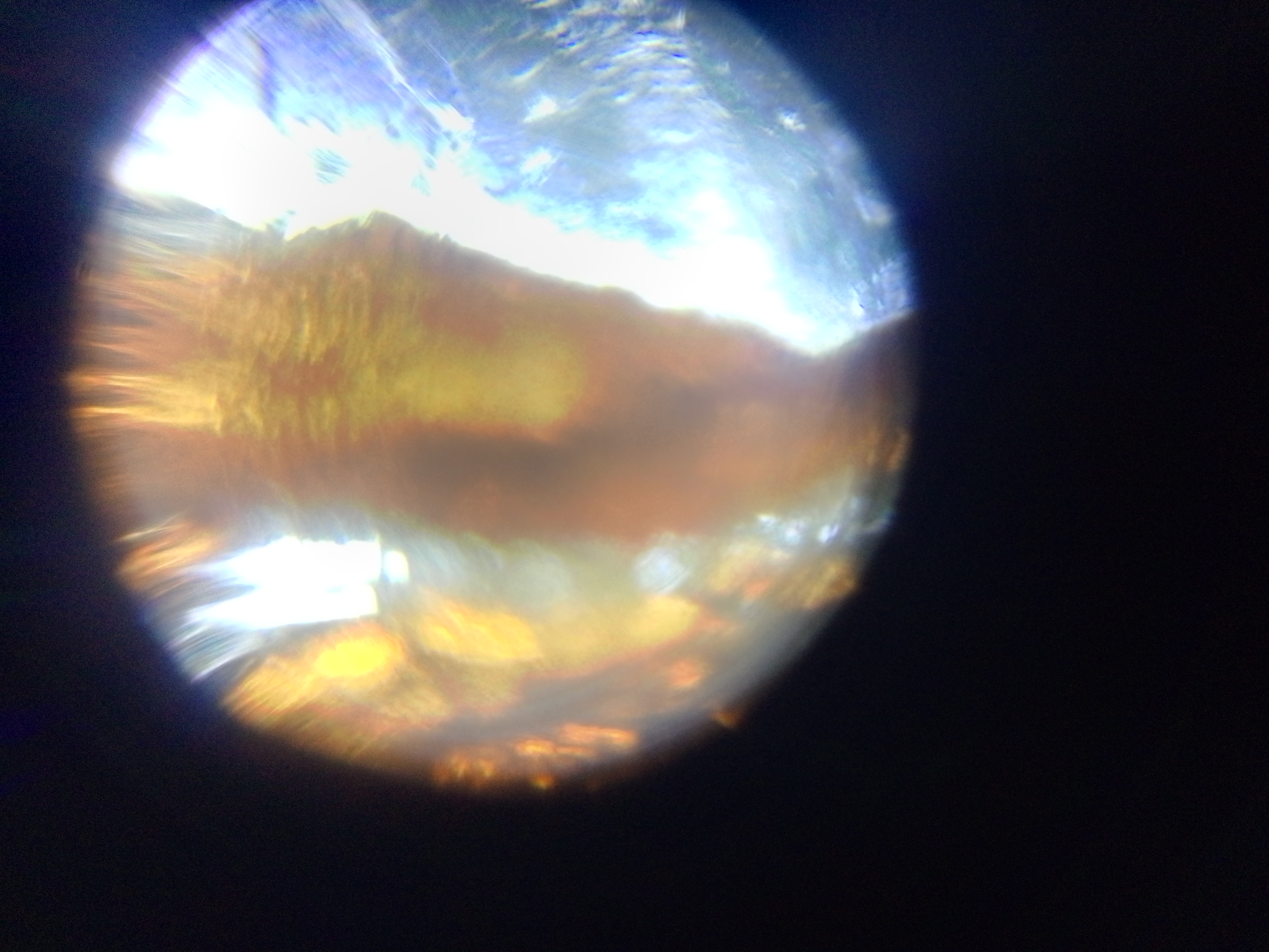 NaN%2FIMG_20230712_191442_140.jpg?alt=media&token=4474a86c-aae5-4f75-82bc-32a4bb602905