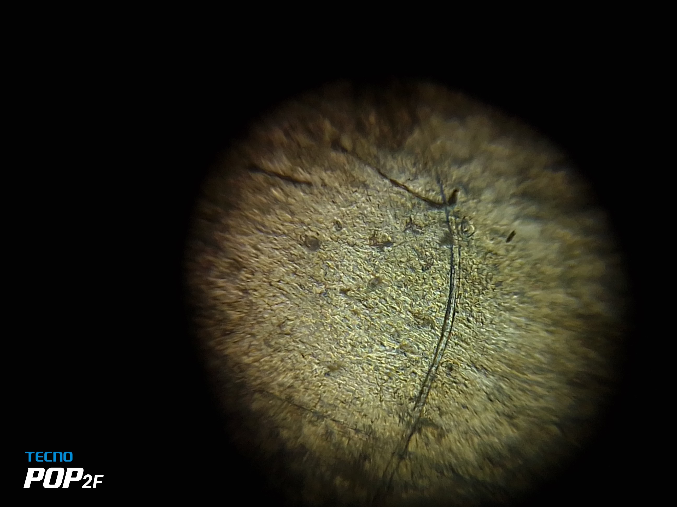 NaN%2FIMG_20230717_145720.jpg?alt=media&token=56ec3619-a532-4fd6-9a79-c13561962719