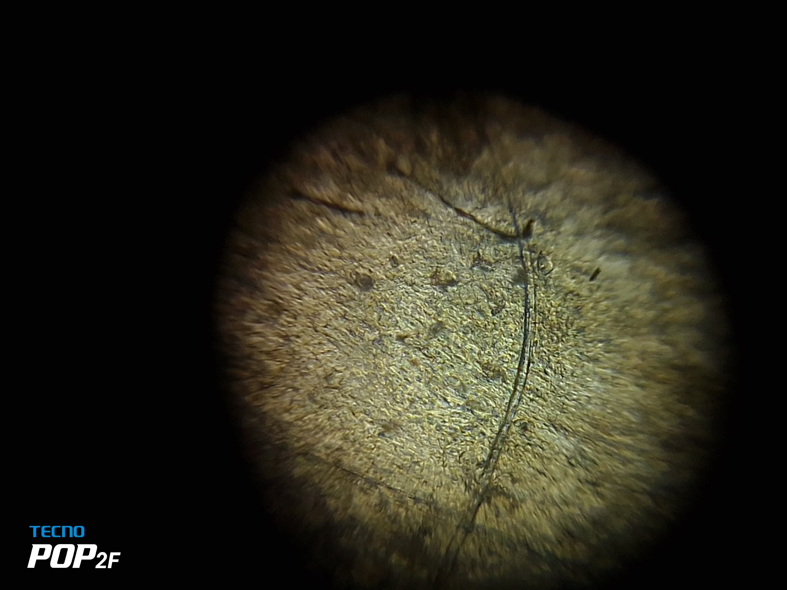 NaN%2FIMG_20230717_145722.jpg?alt=media&token=f327b116-00ec-45ab-8ac5-5f87c91fbe36