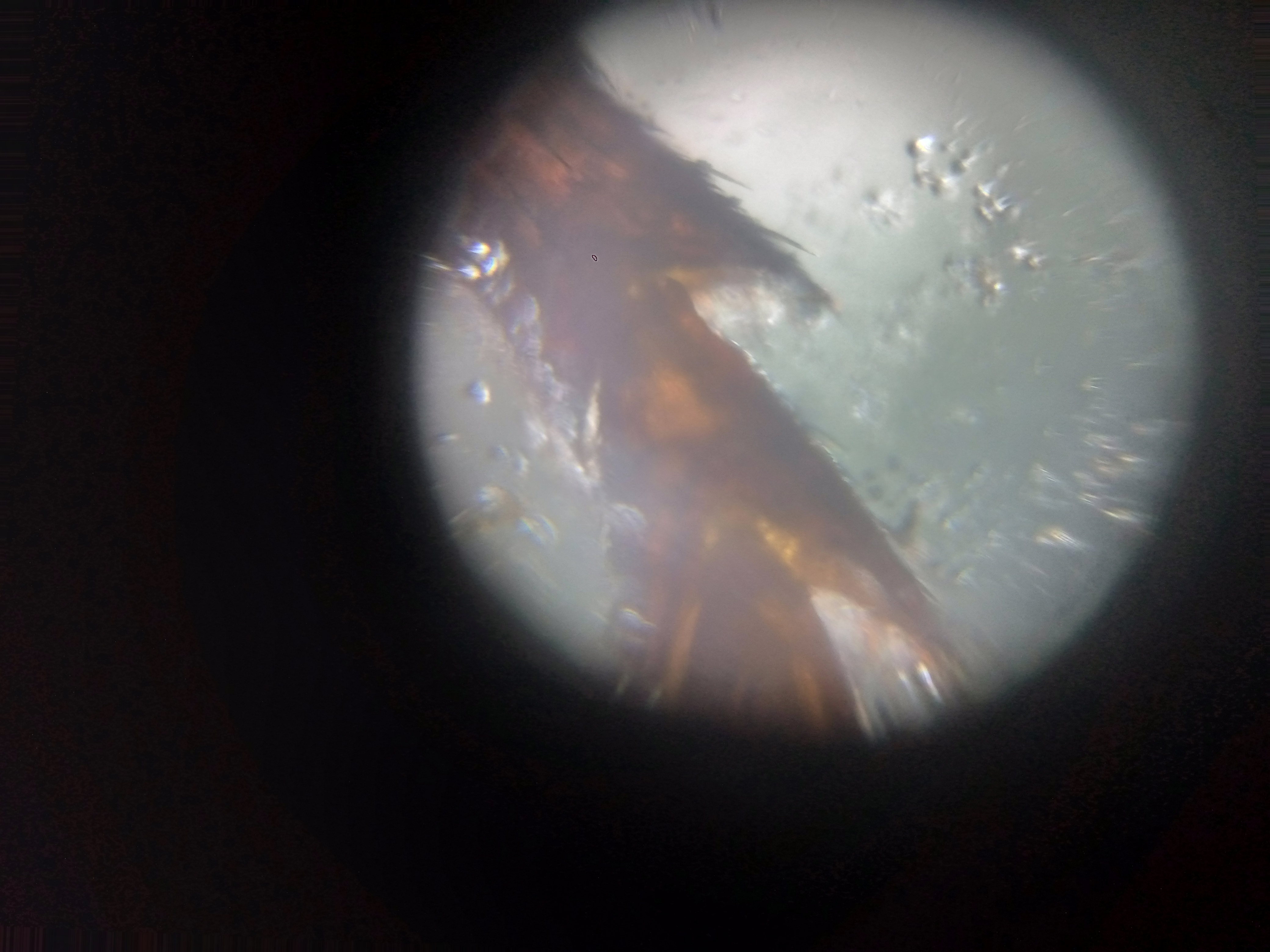 NaN%2FIMG_20230726_141352_549.jpg?alt=media&token=2551ba73-776f-499d-ac46-61a9d95d5a1b