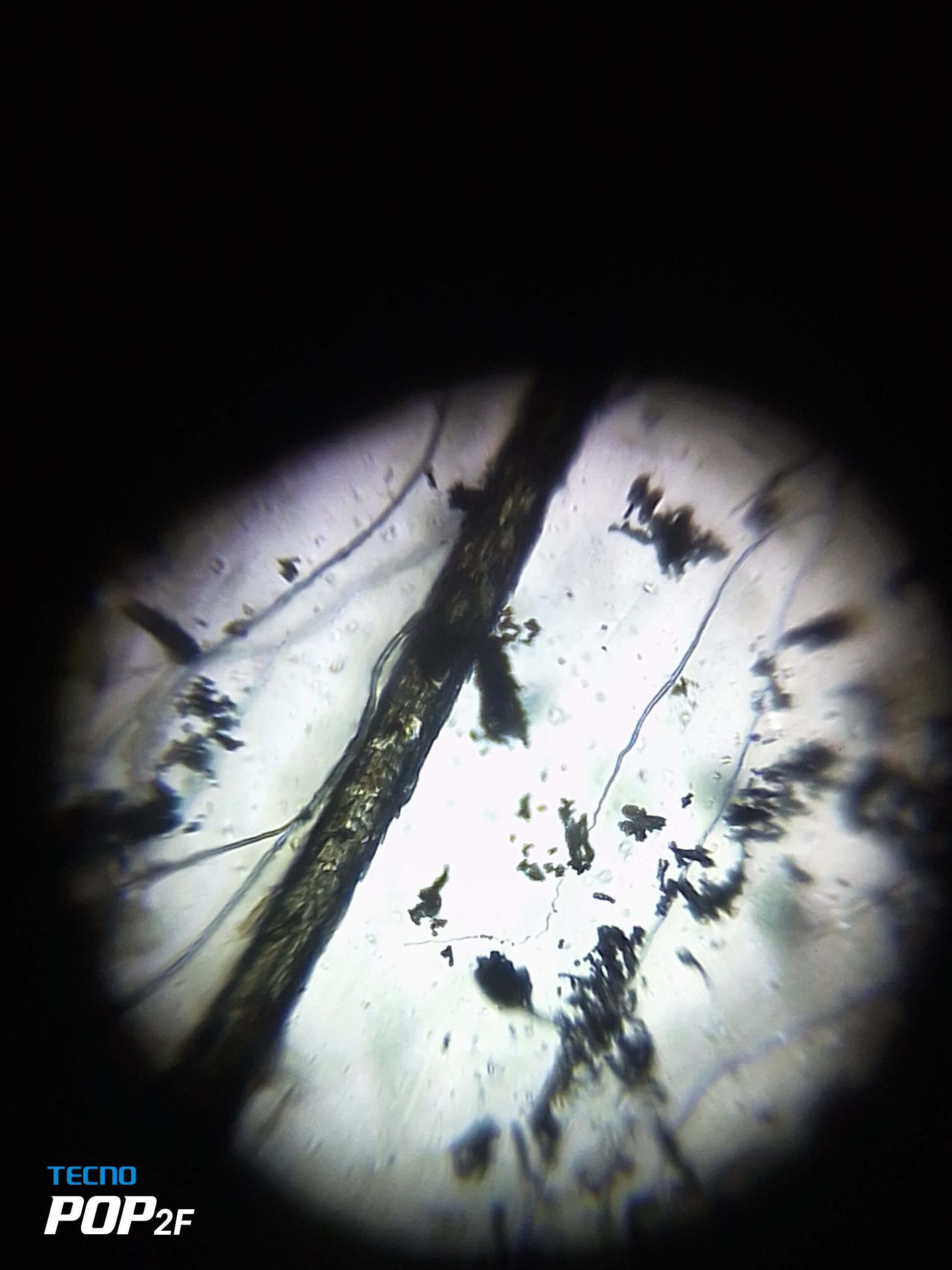 NaN%2FIMG_20230808_144014.jpg?alt=media&token=4852d31f-01ba-47a3-9646-40df42e51574