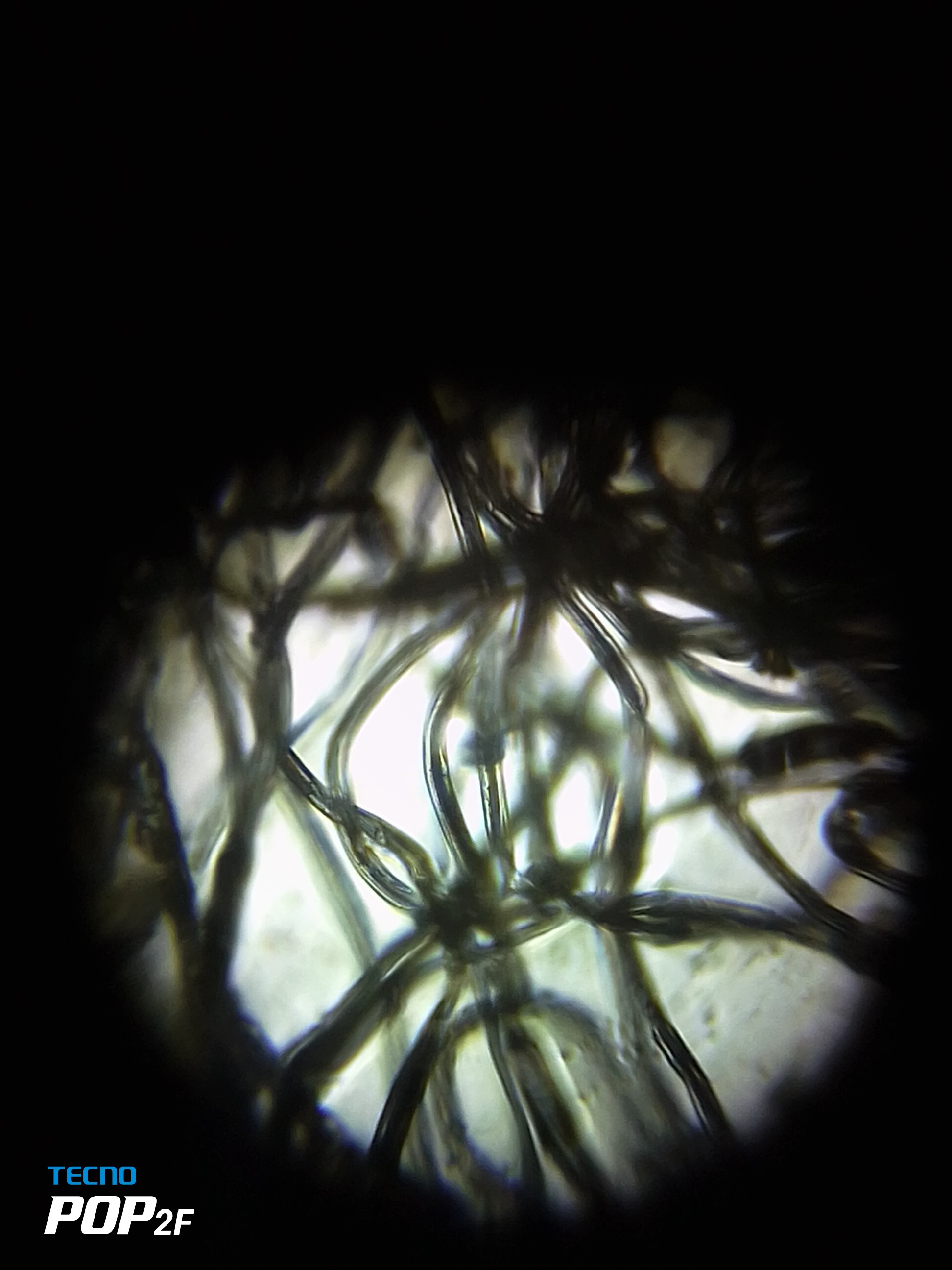 NaN%2FIMG_20230808_144309.jpg?alt=media&token=dbef767b-05eb-42d4-b6e4-f22e0a89df81