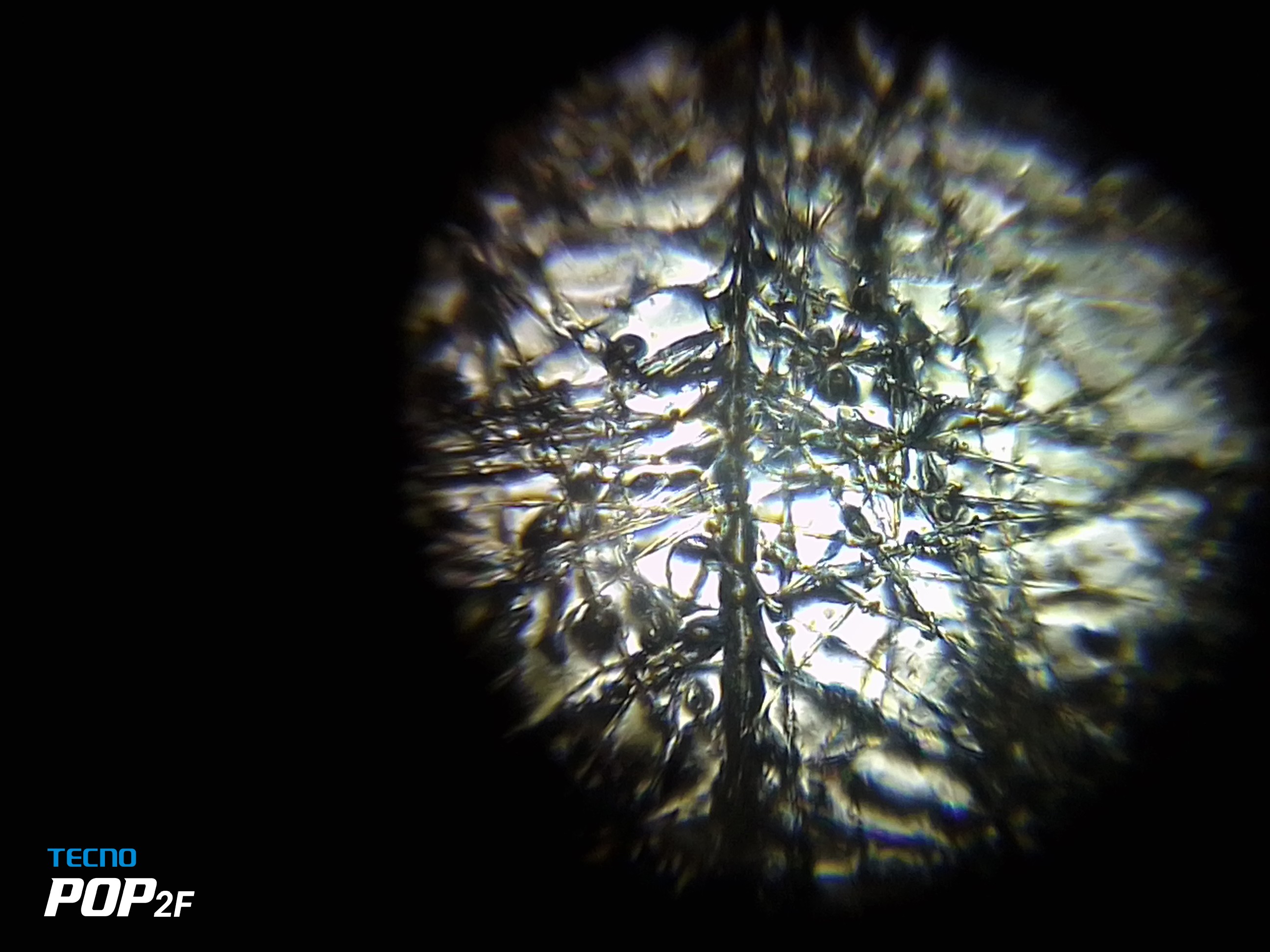 NaN%2FIMG_20230808_144951.jpg?alt=media&token=d5616313-d1a2-4a98-9a75-f16164e53b28