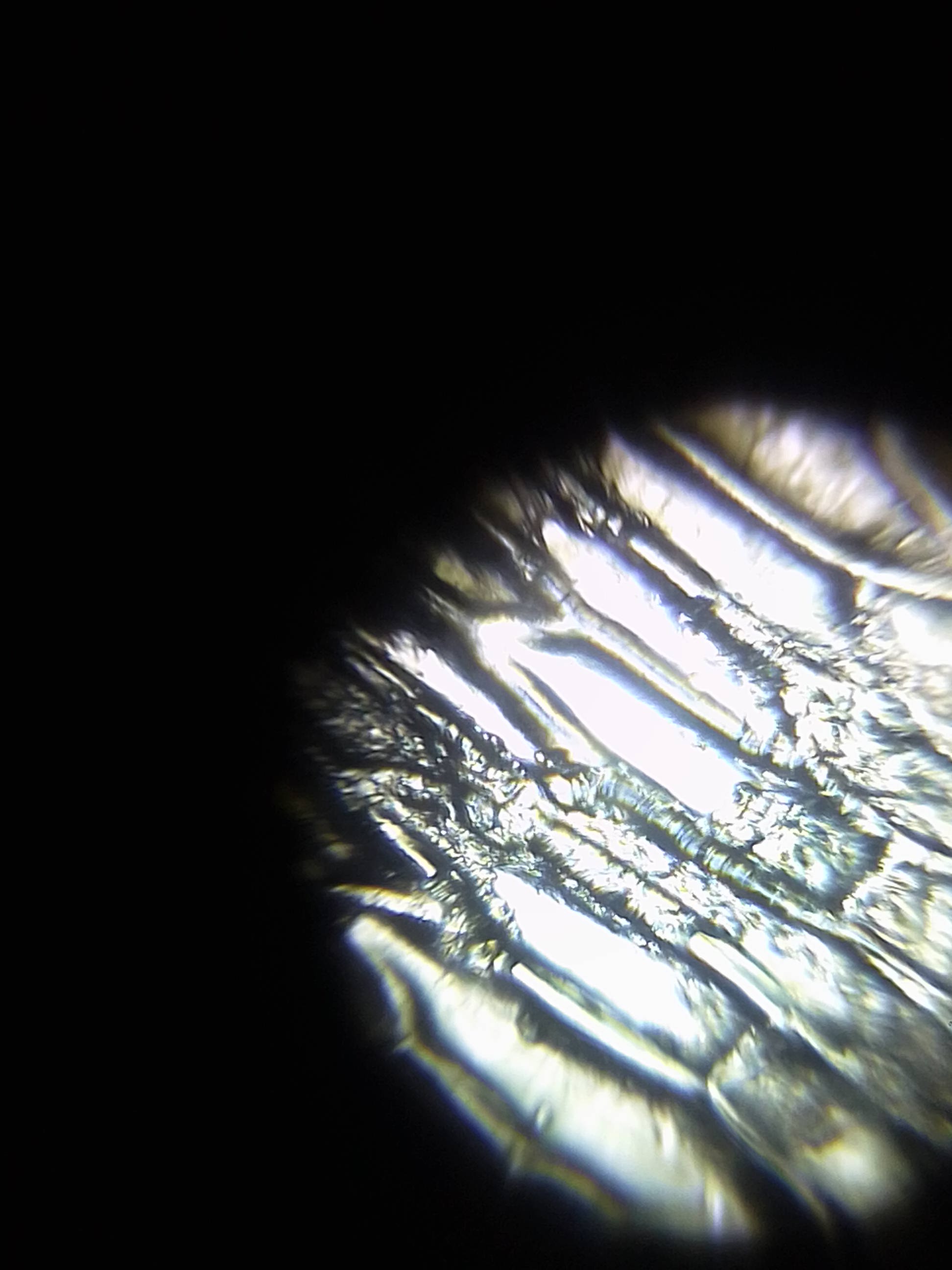 NaN%2FIMG_20230830_173017.jpg?alt=media&token=86b88ee2-987b-4068-9300-173464cf7e1c