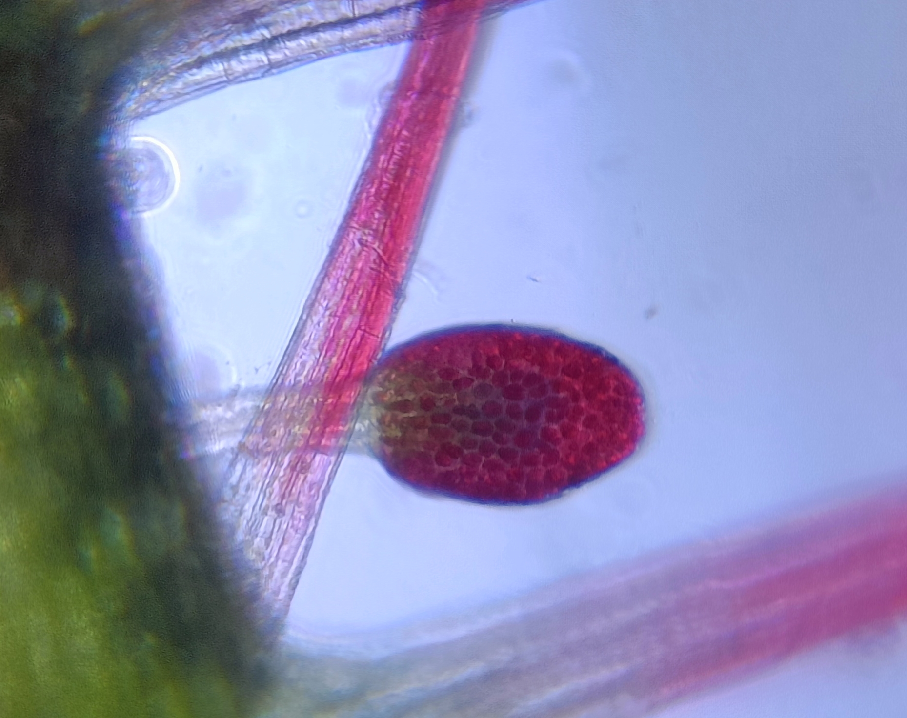 NaN%2FIMG_20230912_004708.jpg?alt=media&token=6d26485a-3e3a-4fb1-8c5c-87883d11d96e