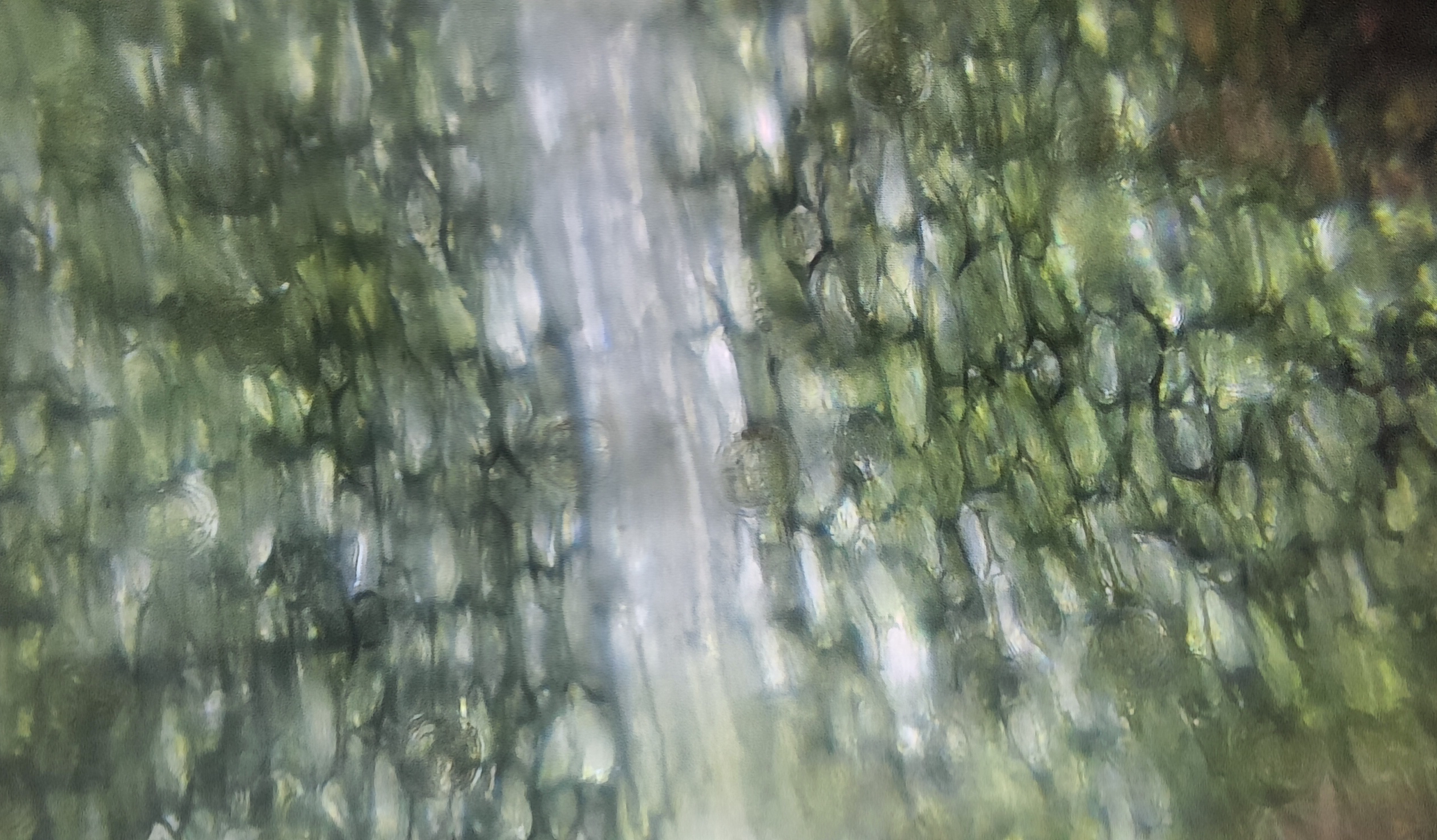 NaN%2FIMG_20230912_005037.jpg?alt=media&token=eb432b97-cb1b-4827-87e1-af06d0a8bb6b