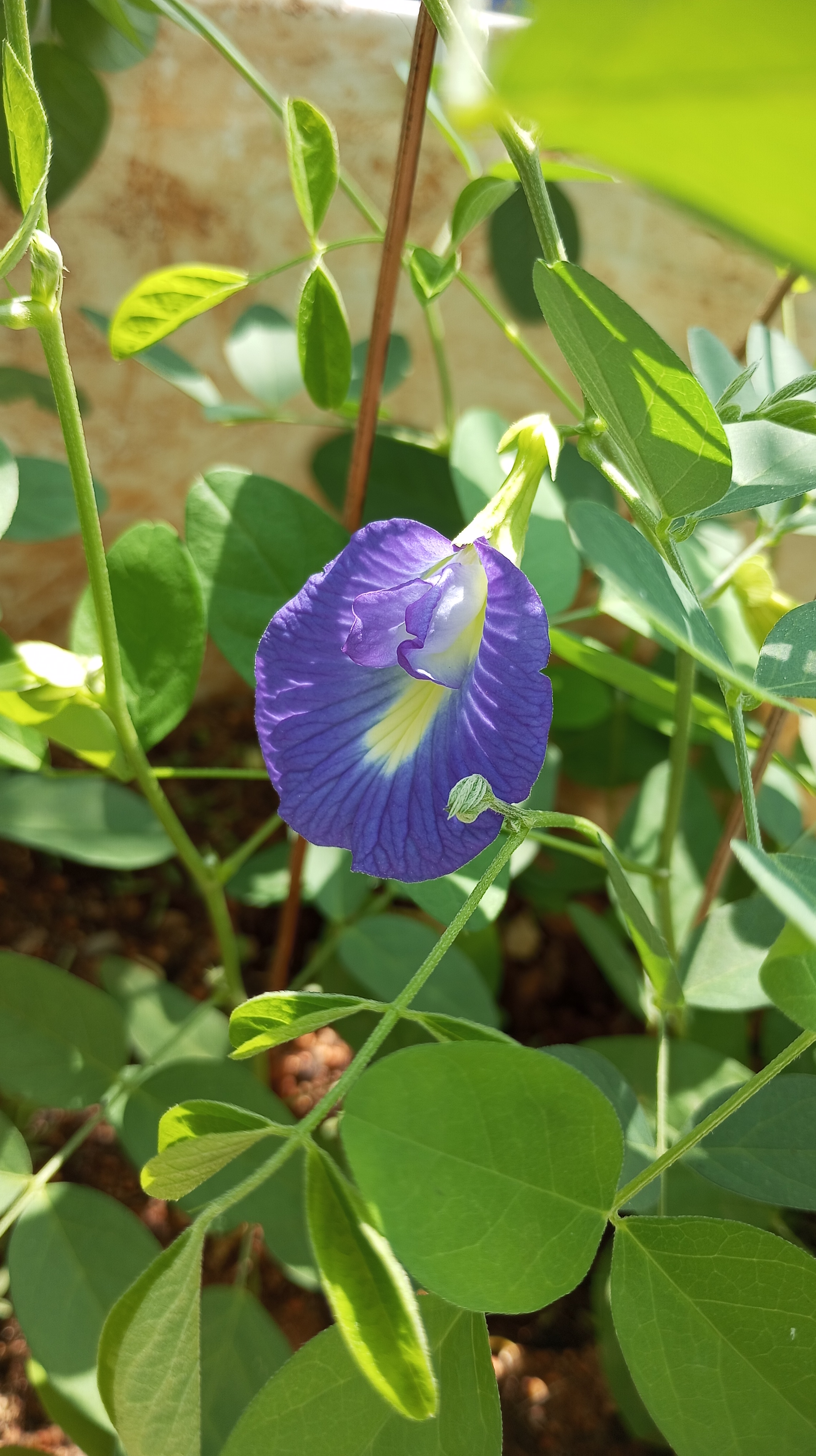 NaN%2FIMG_20231111_124643.jpg?alt=media&token=bda5f58e-4861-480d-9fde-64d3ce8e1c68