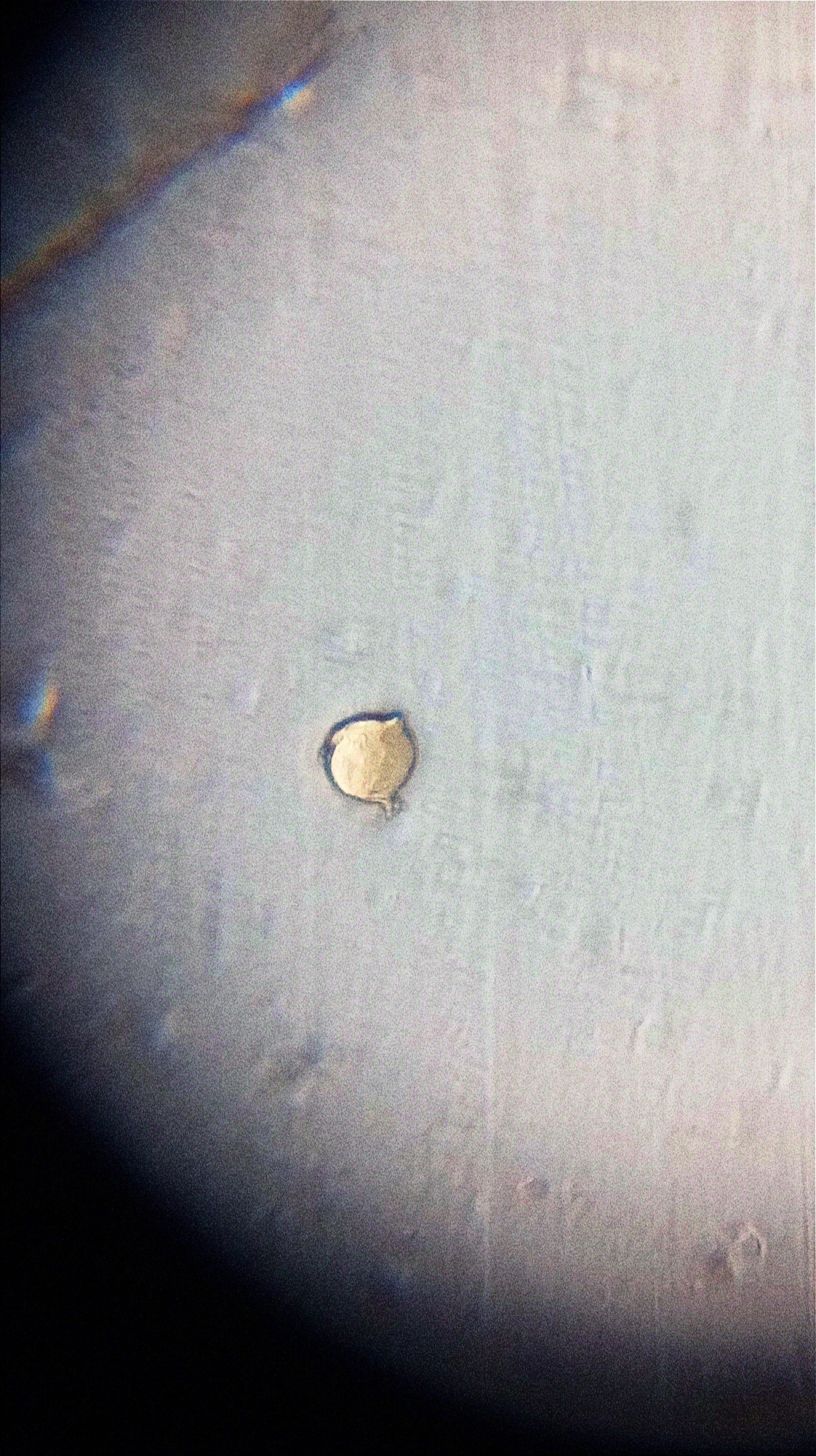 NaN%2FIMG_20231114_163852.jpg?alt=media&token=de3e6bfc-03e3-4599-a1d6-babc9225110a