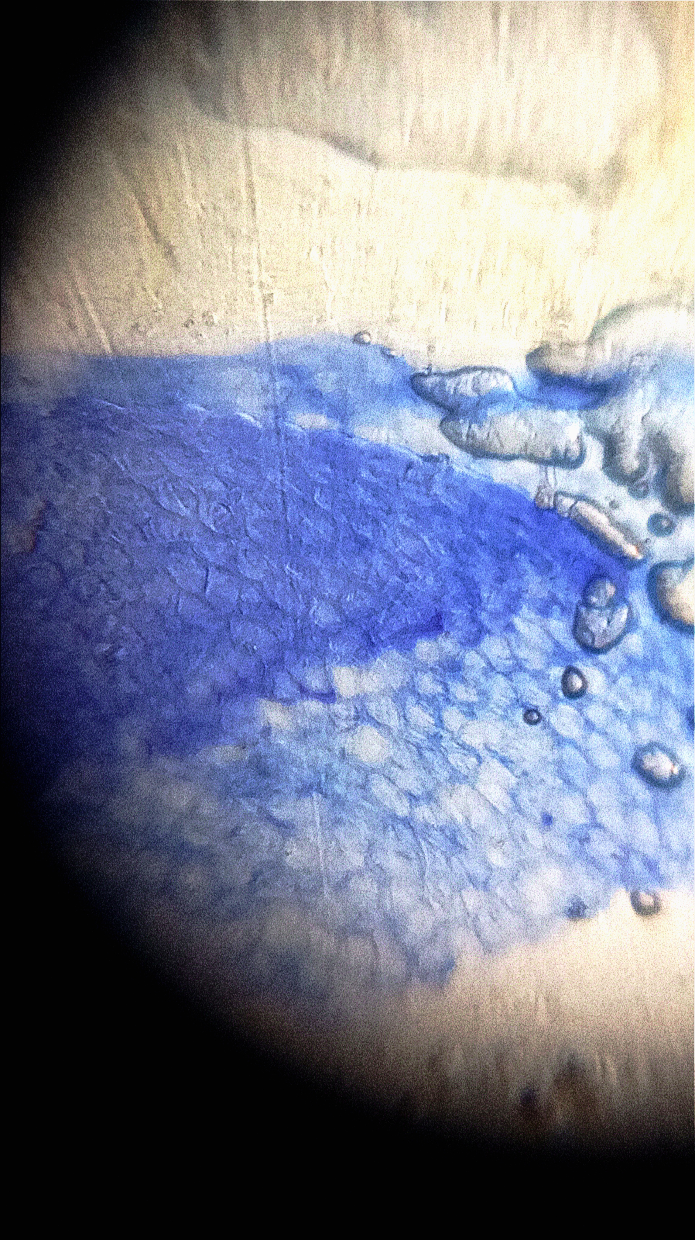 NaN%2FIMG_20231114_164104.jpg?alt=media&token=d0408f10-b412-41fa-aa6a-16f97cbaac97