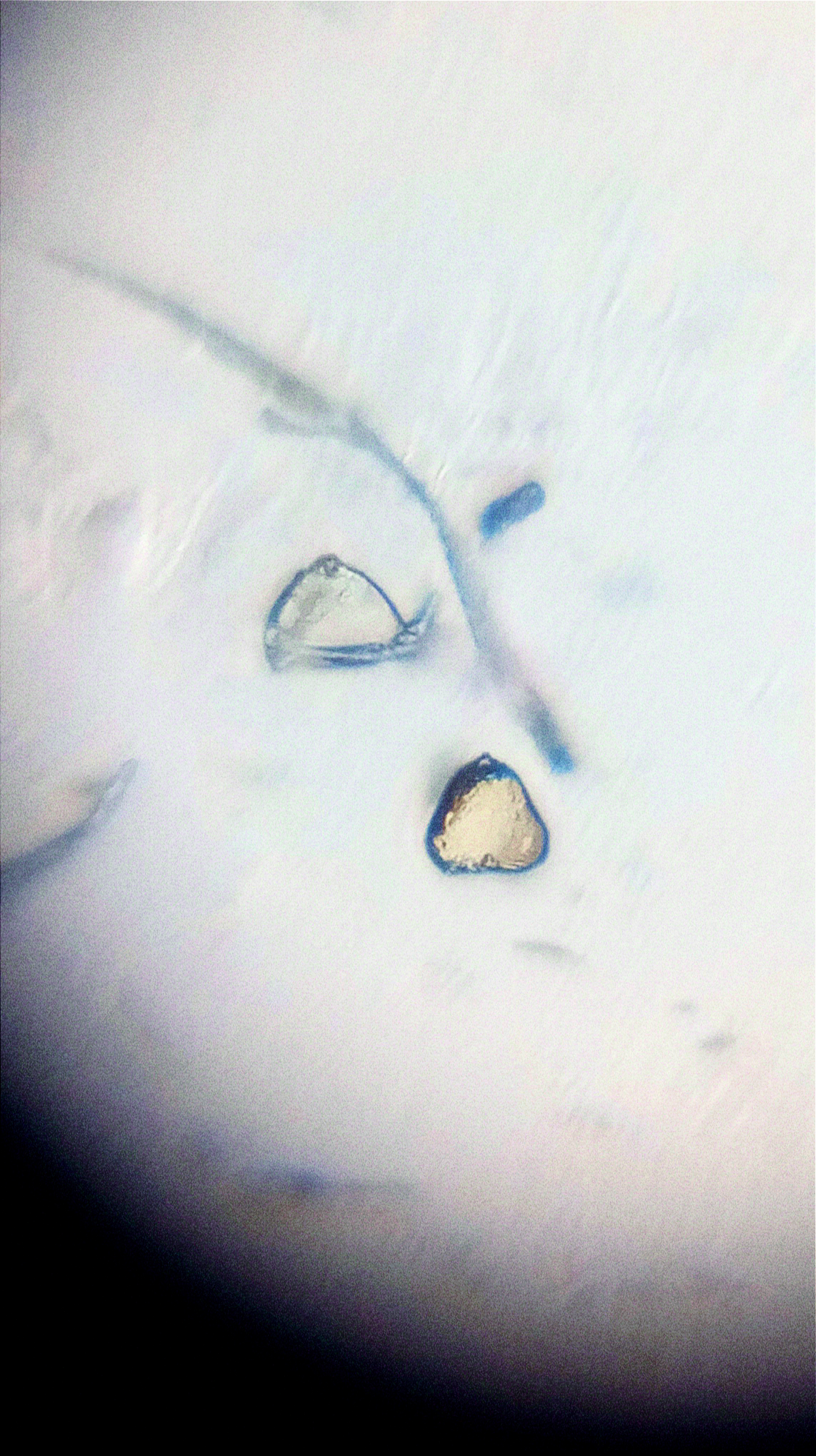 NaN%2FIMG_20231114_164248.jpg?alt=media&token=0e7407ae-274b-42c2-b632-74af96e36700