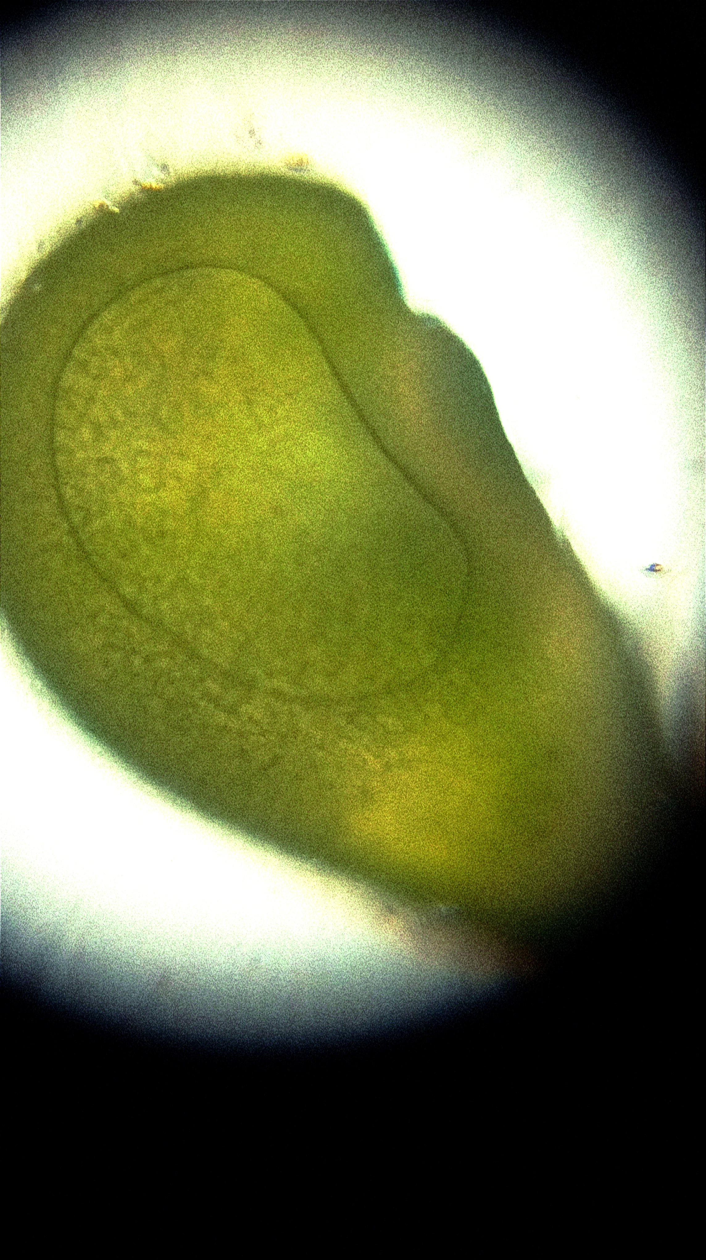 NaN%2FIMG_20231114_164624.jpg?alt=media&token=61fddece-385b-4d3f-9694-d01898be240d