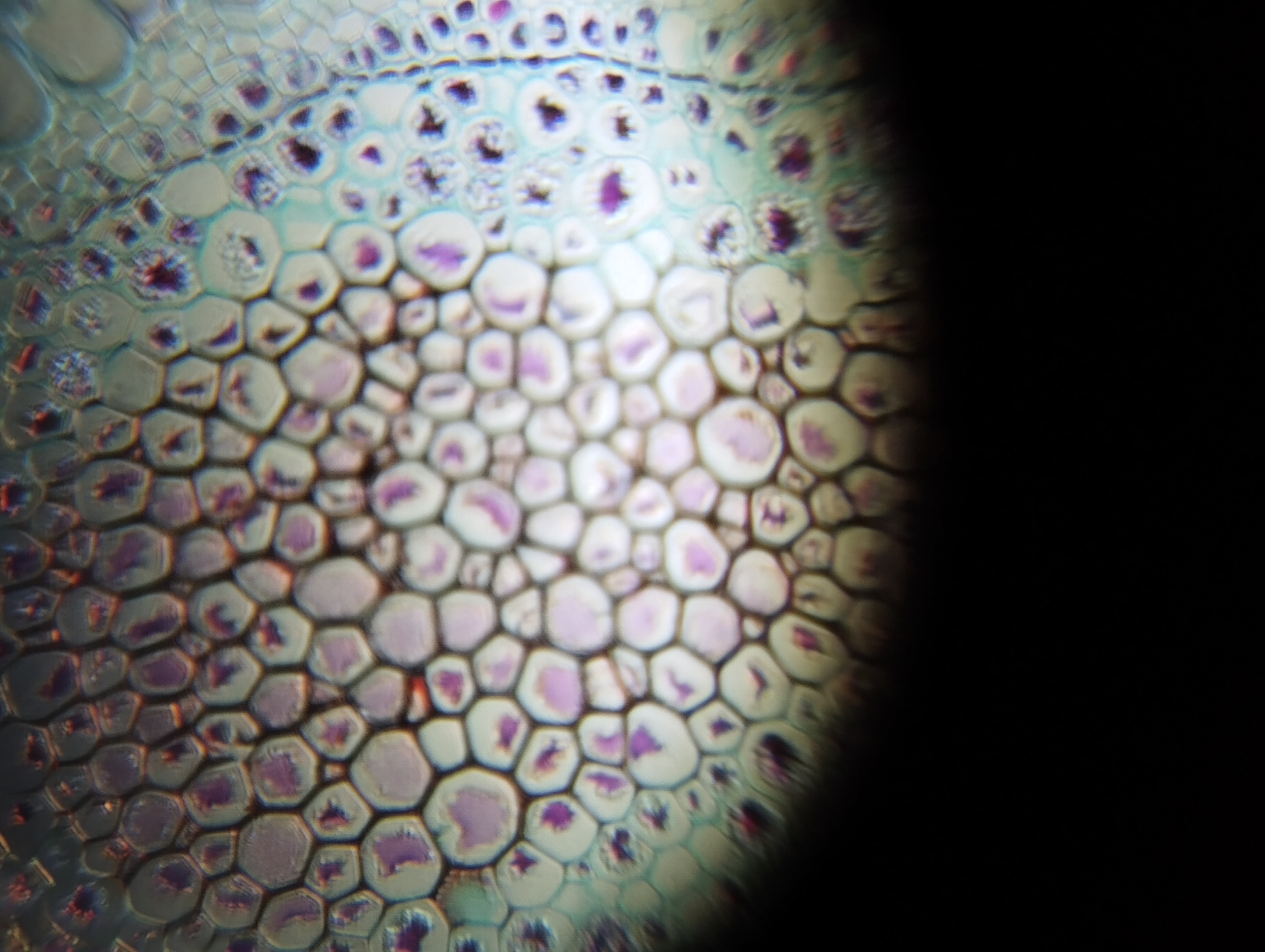 NaN%2FIMG_20240423_111613.jpg?alt=media&token=6d190ffa-85c6-4179-9b06-dcb24ee36ca4