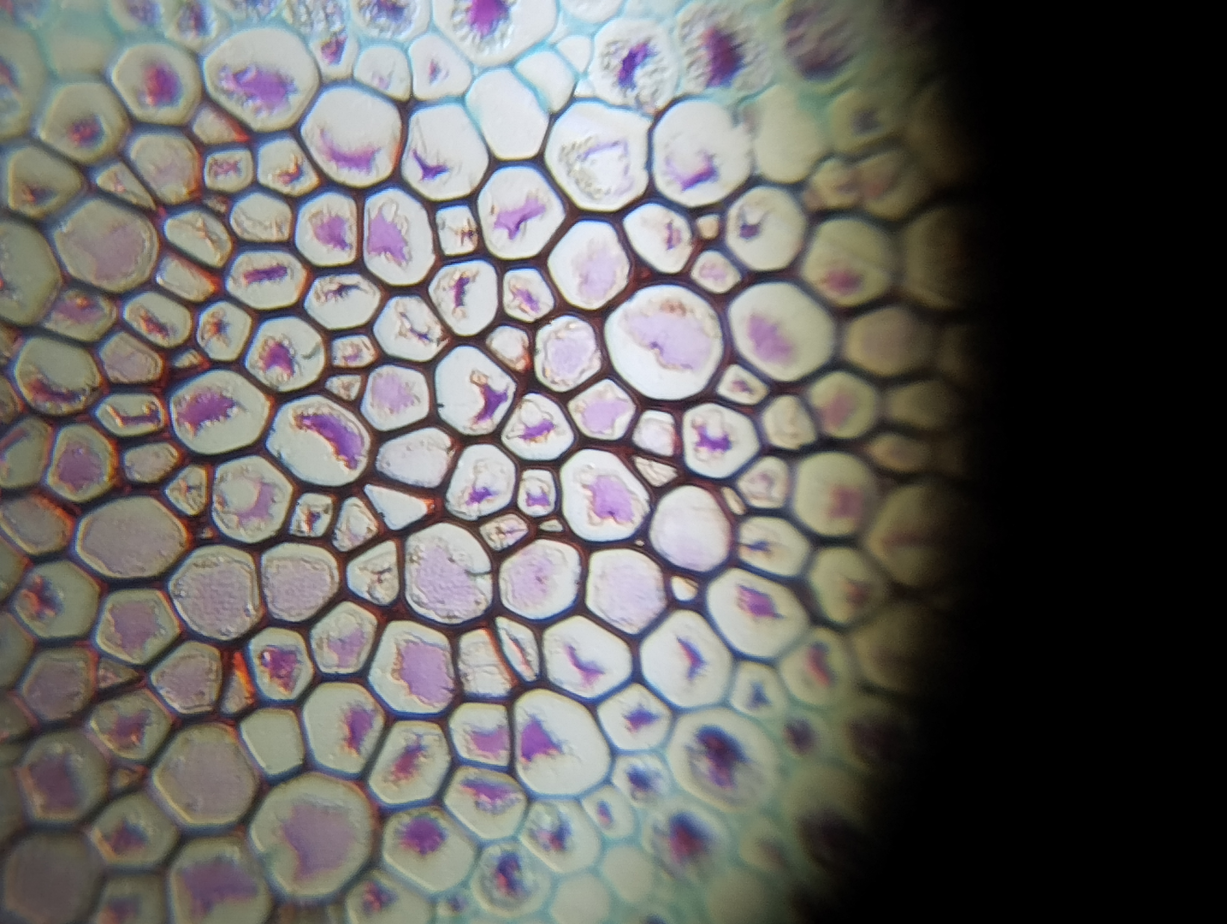 NaN%2FIMG_20240423_111631.jpg?alt=media&token=83654761-c7a4-47da-9e65-7f2137131a6f