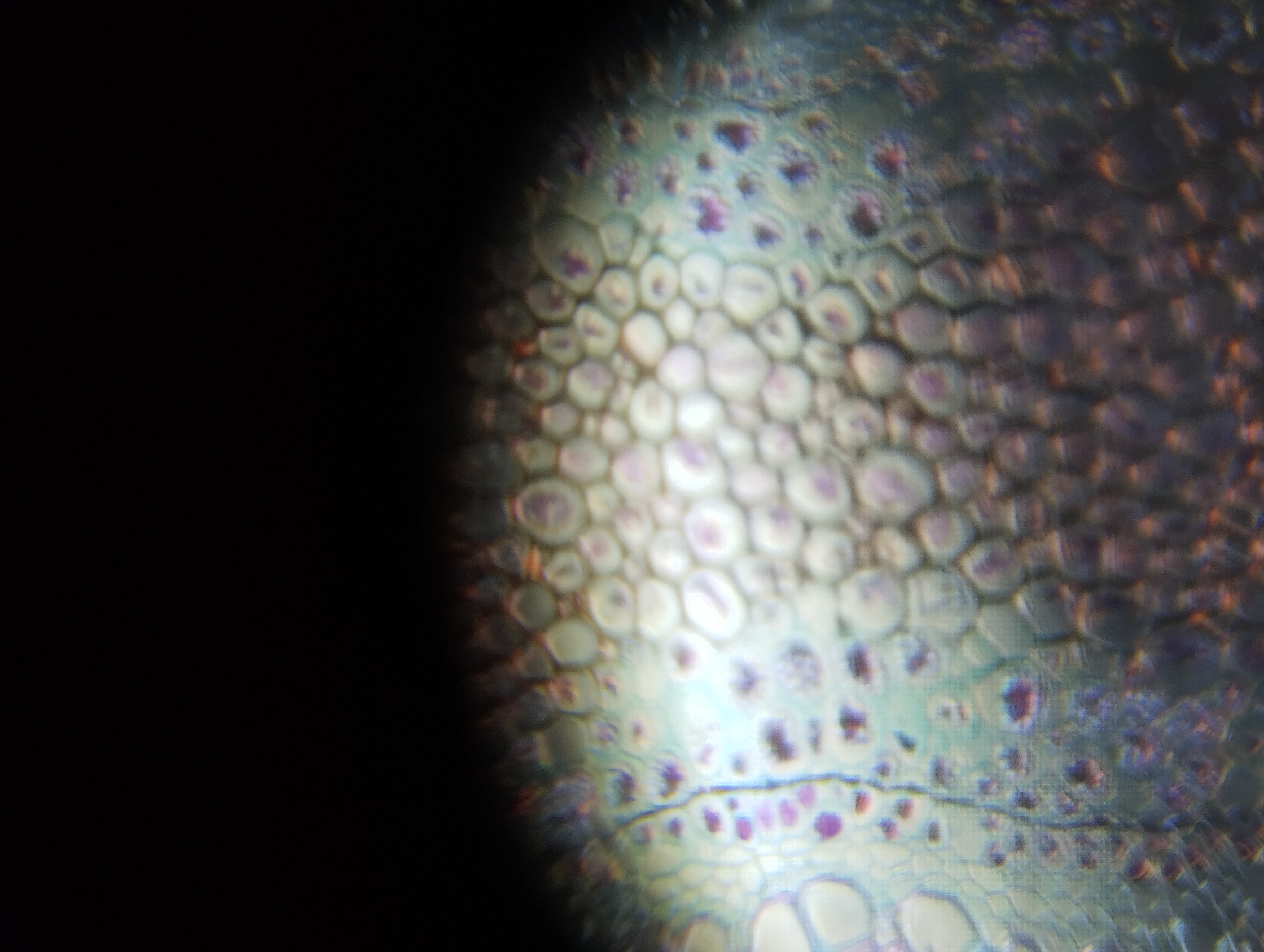 NaN%2FIMG_20240423_112040.jpg?alt=media&token=4ba610c1-91eb-45dc-b15d-bfb1bb7fdaf8