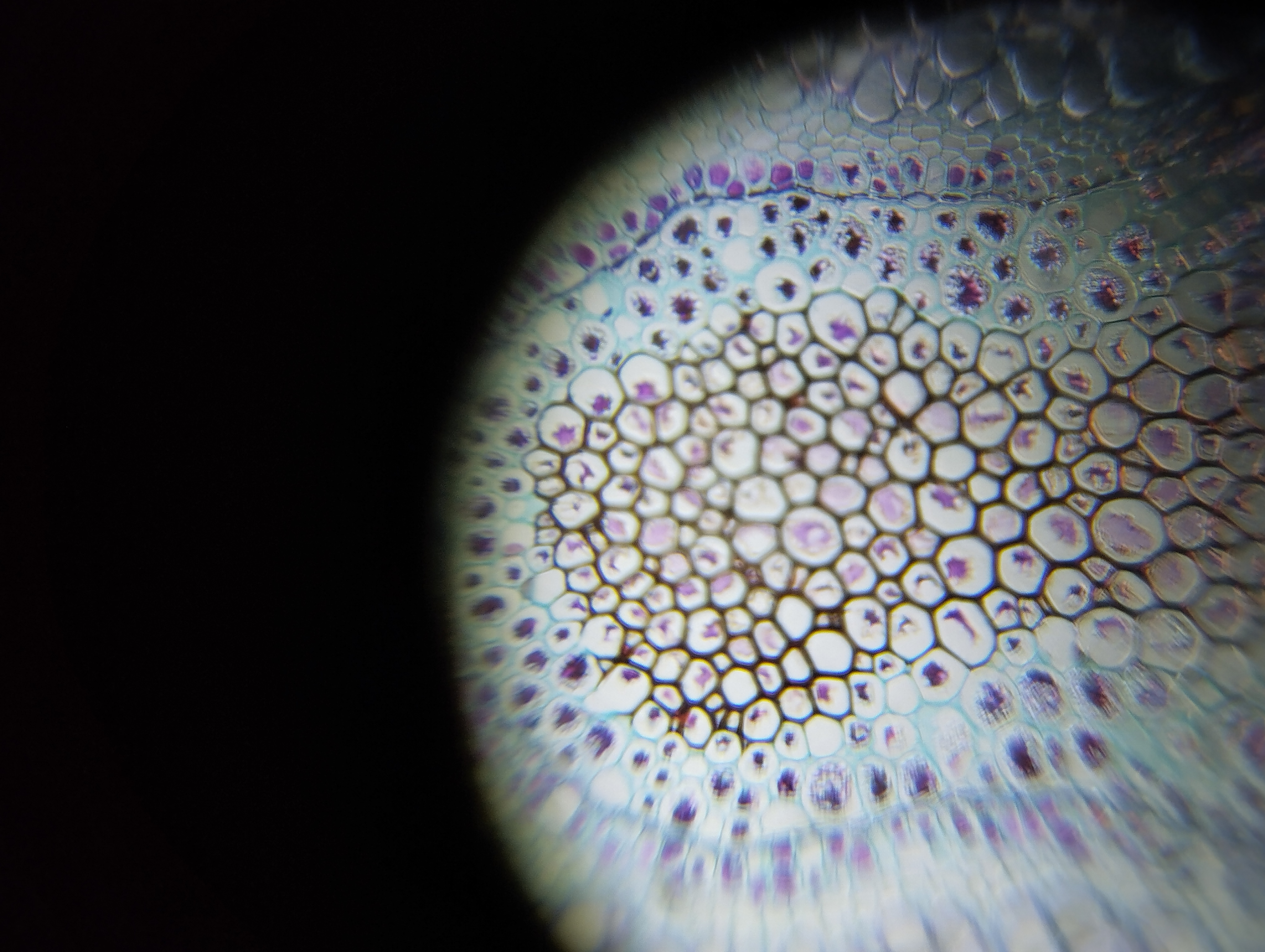 NaN%2FIMG_20240423_112109.jpg?alt=media&token=6a5a07e5-06ac-4b07-a2e5-225d9662ea20