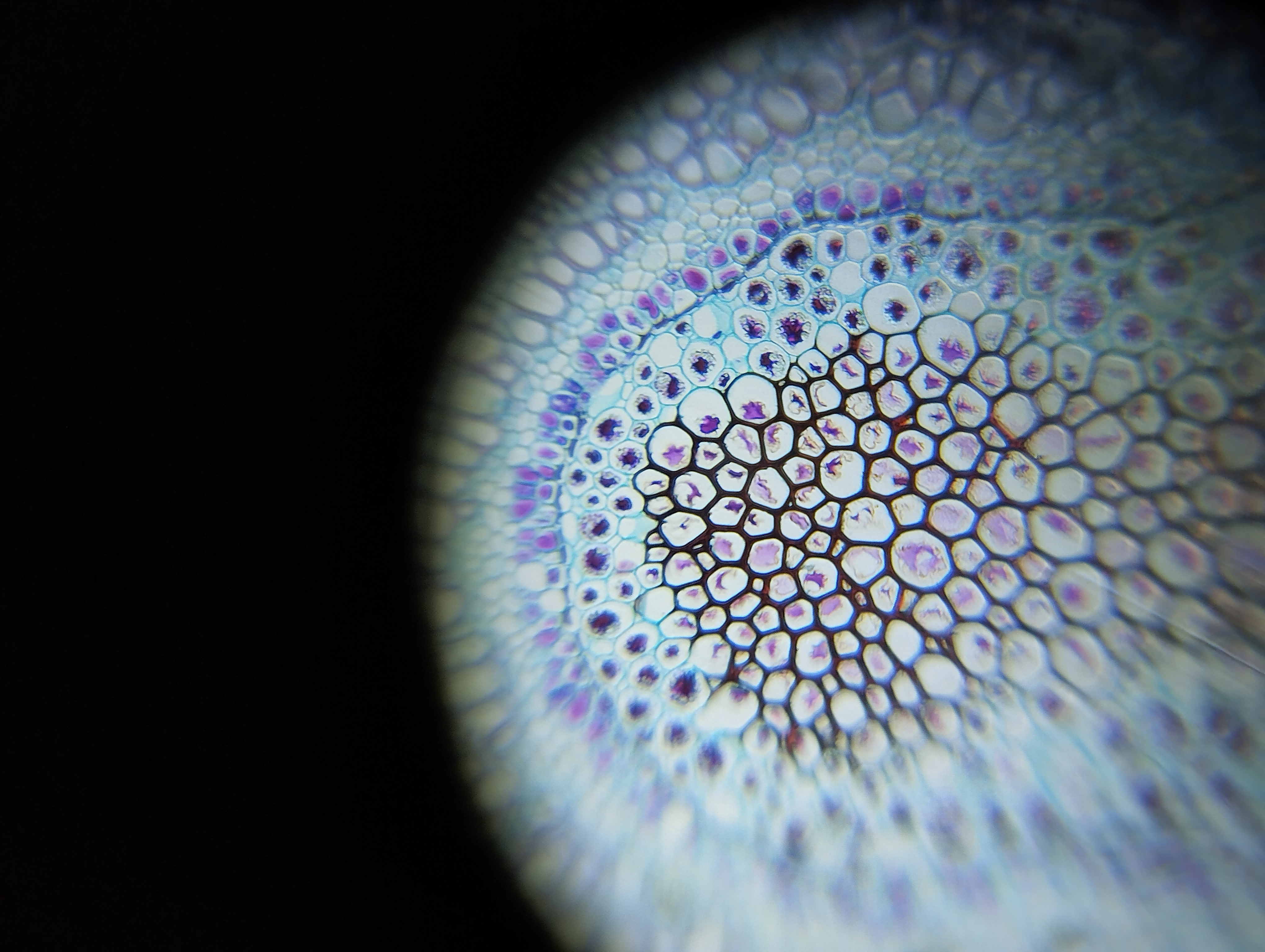 NaN%2FIMG_20240423_112121.jpg?alt=media&token=fe28e26f-3a50-4784-8f24-5750b1a625aa