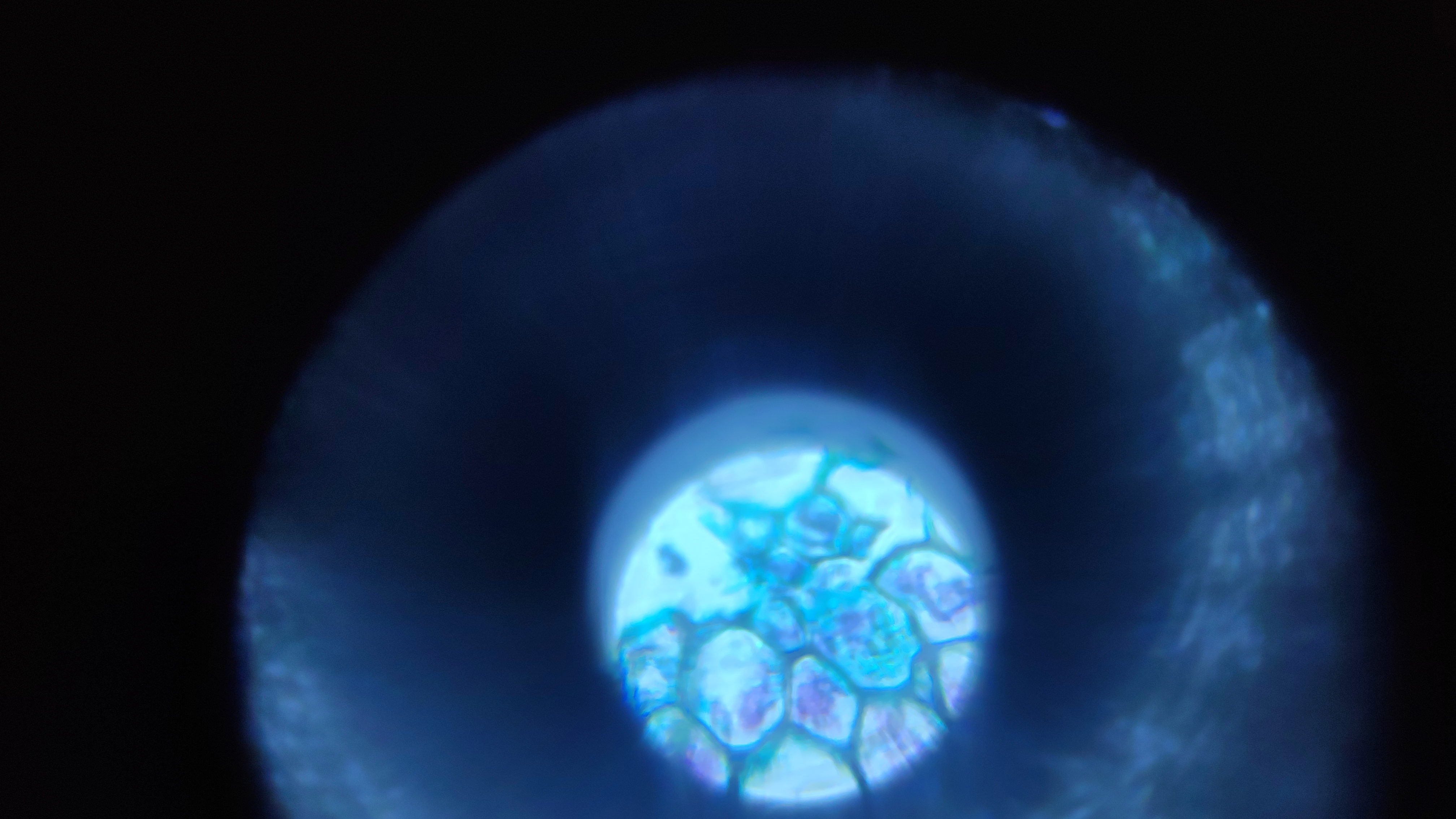 NaN%2FIMG_20240520_155214.jpg?alt=media&token=6bdf9c6f-2c5a-4275-9ded-62ce4e8deee5