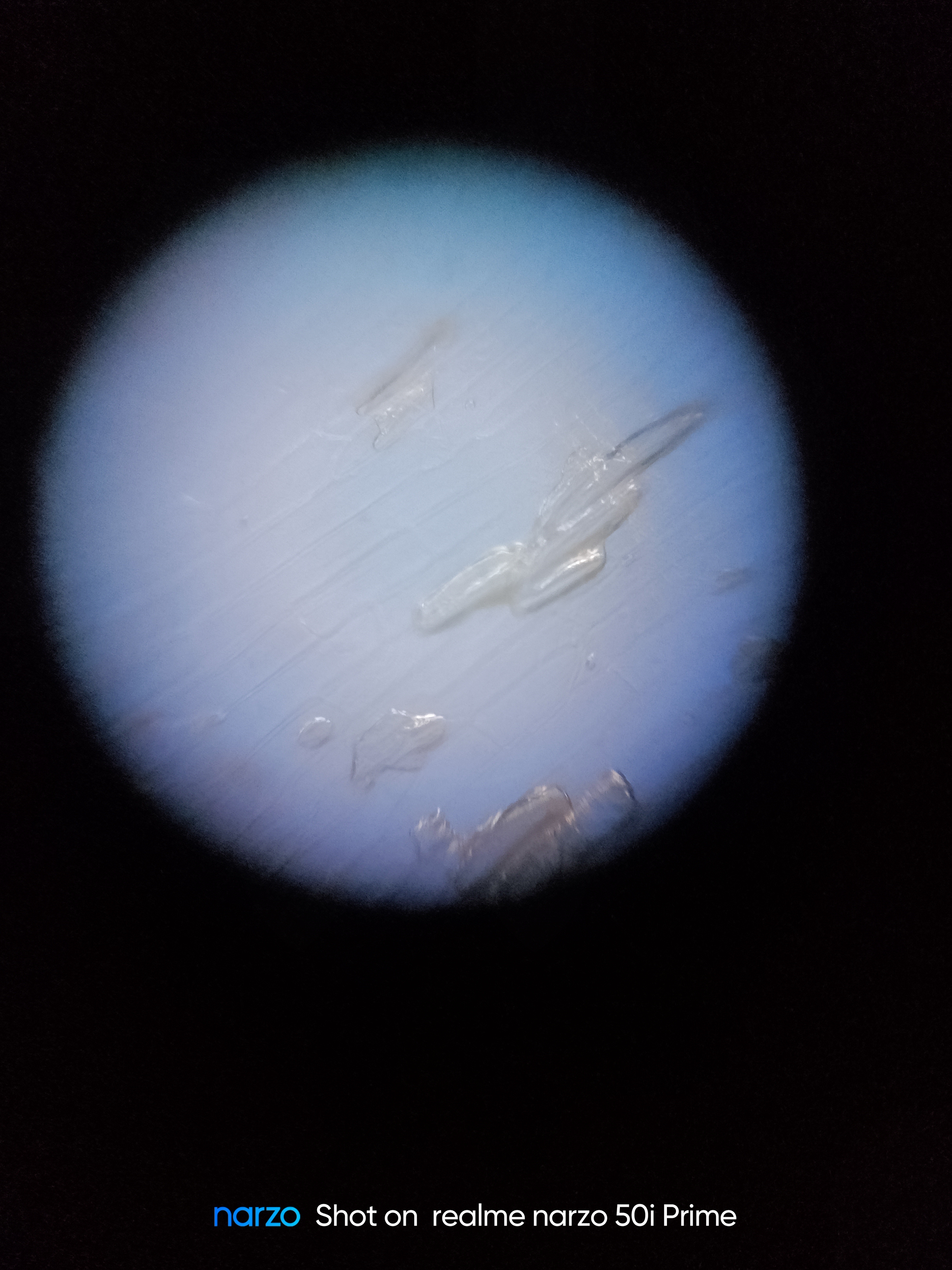 NaN%2FIMG_20240520_164700.jpg?alt=media&token=da3da1ba-cce3-460c-8de6-5c8161d79431