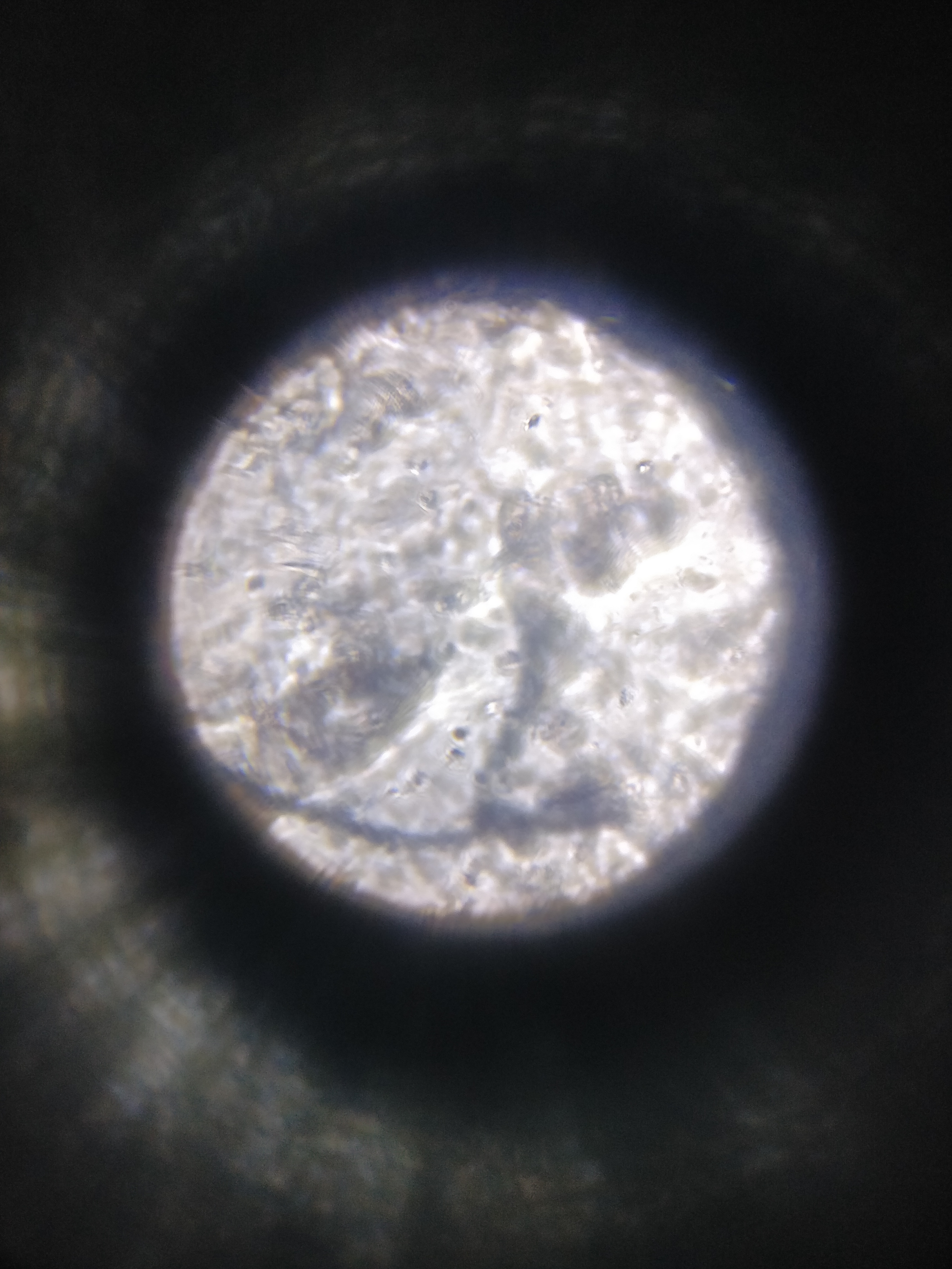 NaN%2FIMG_20240521_154314.jpg?alt=media&token=9554e74b-94d8-42f6-b619-7373f6943262