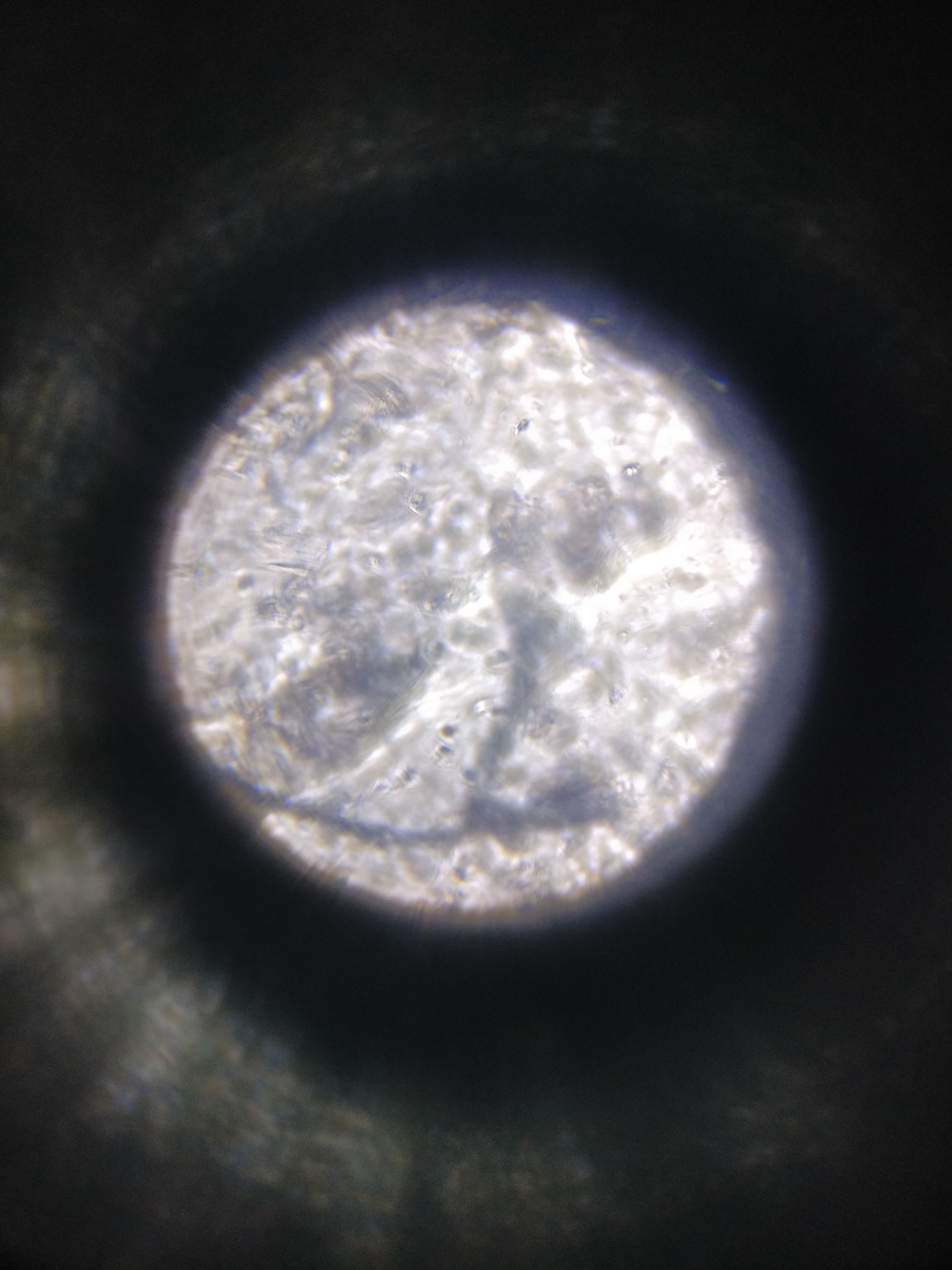 NaN%2FIMG_20240521_154314_01.jpg?alt=media&token=28562a0e-b8bd-4a07-af04-ab7b37d57bd9