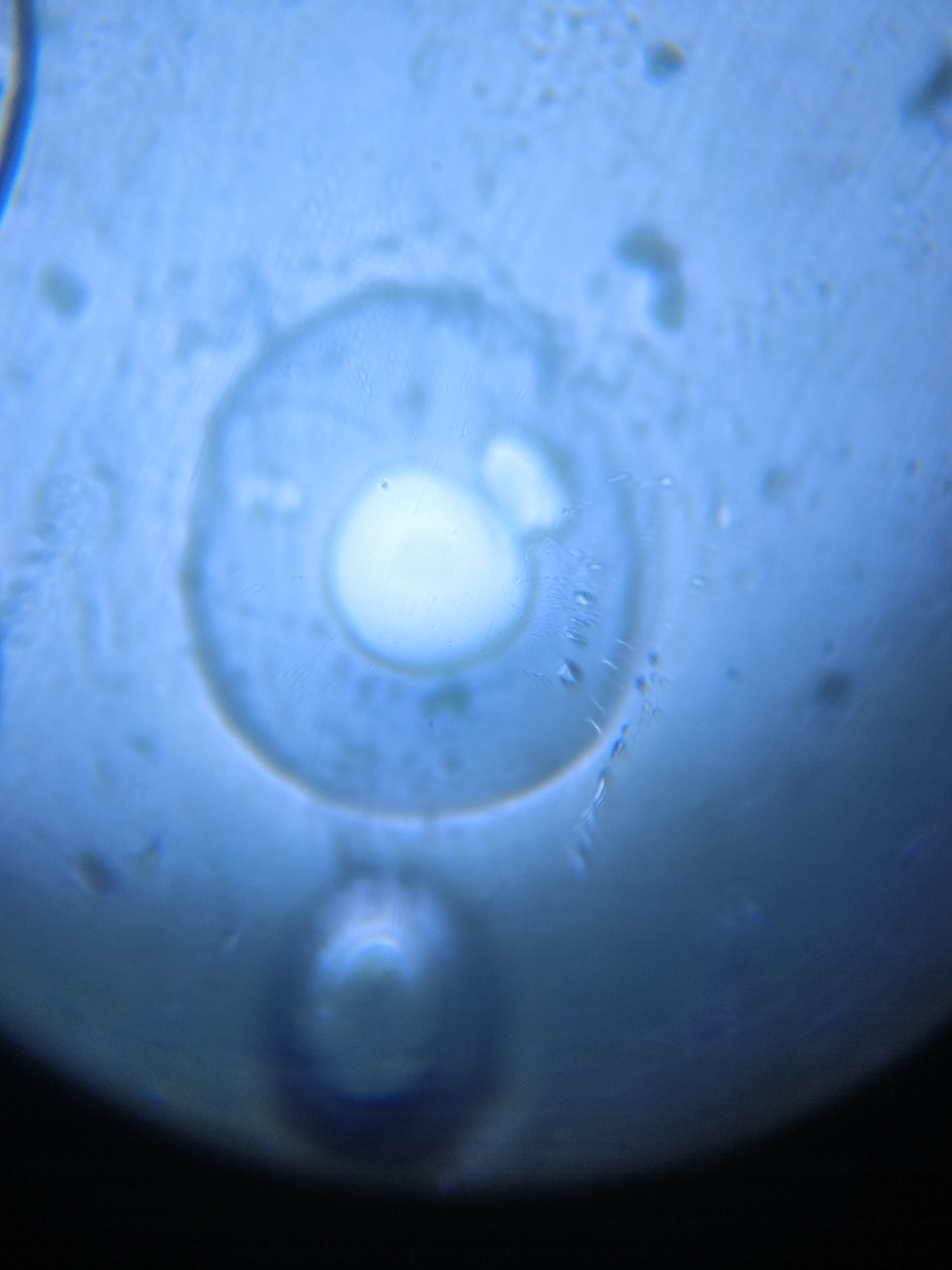 NaN%2FIMG_20240521_155005.jpg?alt=media&token=5a0eb9fe-b4e2-4a87-b20d-fc987e7b62d4