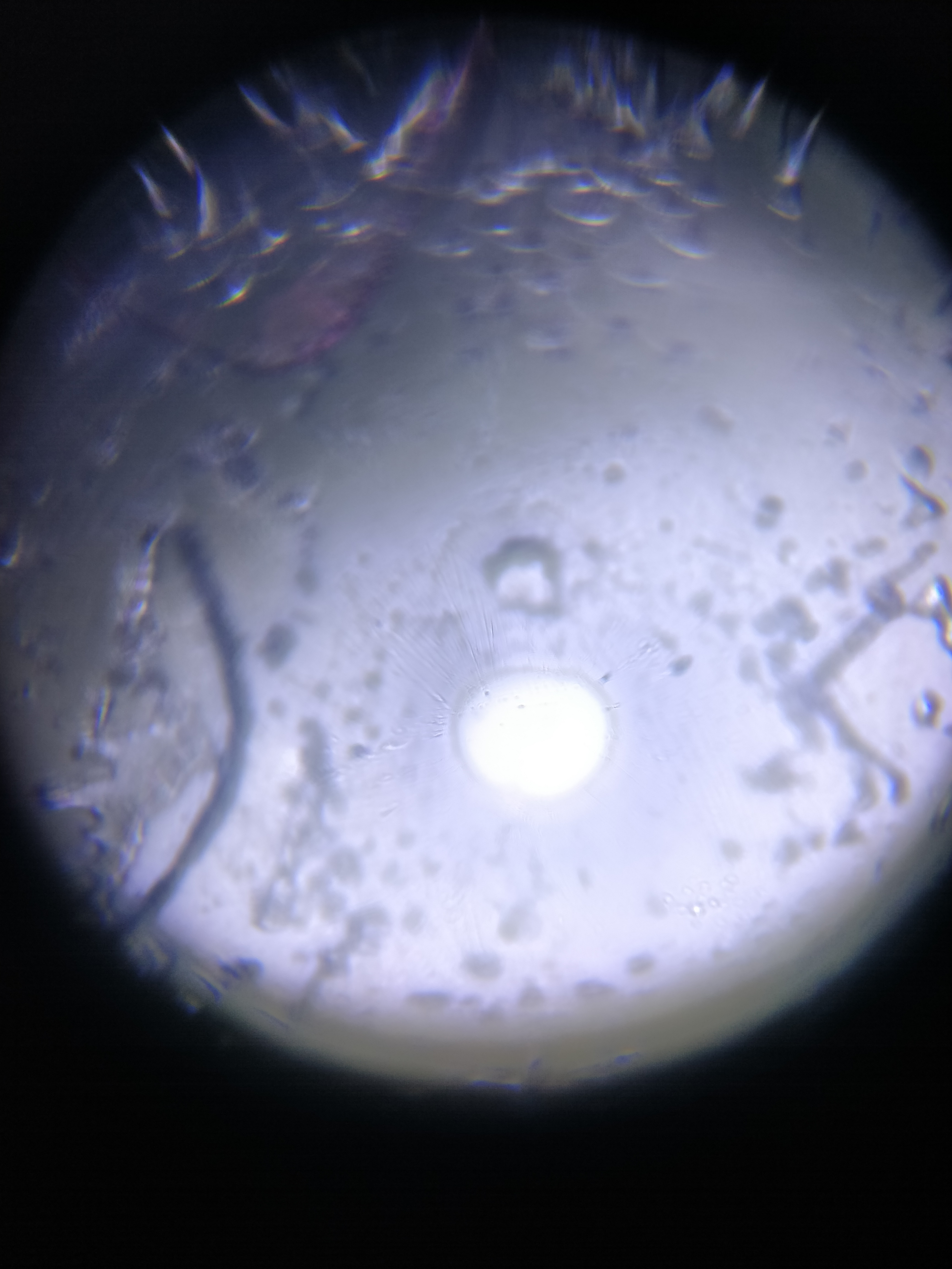 NaN%2FIMG_20240521_155817.jpg?alt=media&token=2e950de8-713c-4062-bd33-e92becd72704