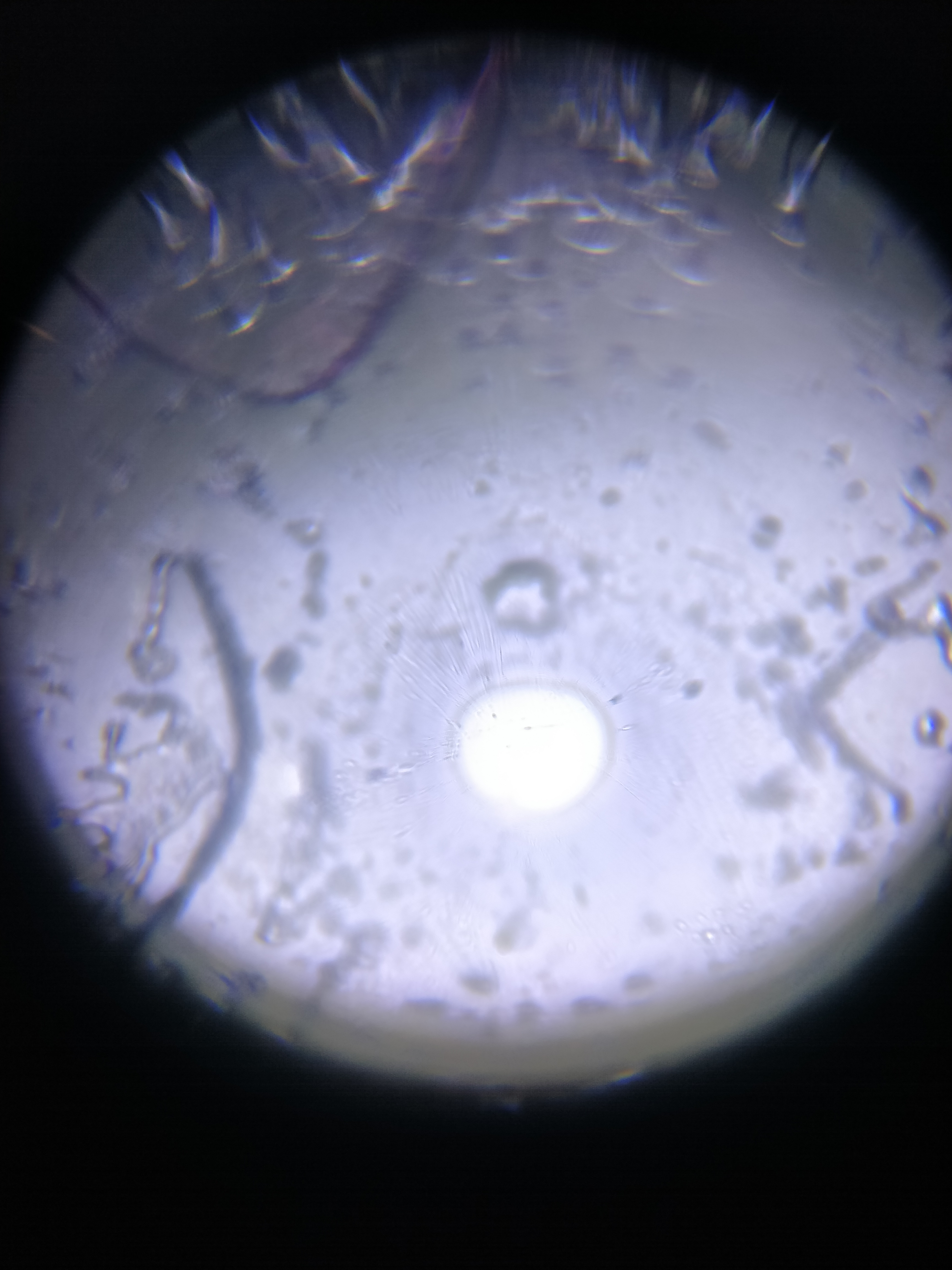 NaN%2FIMG_20240521_155820.jpg?alt=media&token=8e11fcb9-490a-46fb-a31c-5e8982ca309d