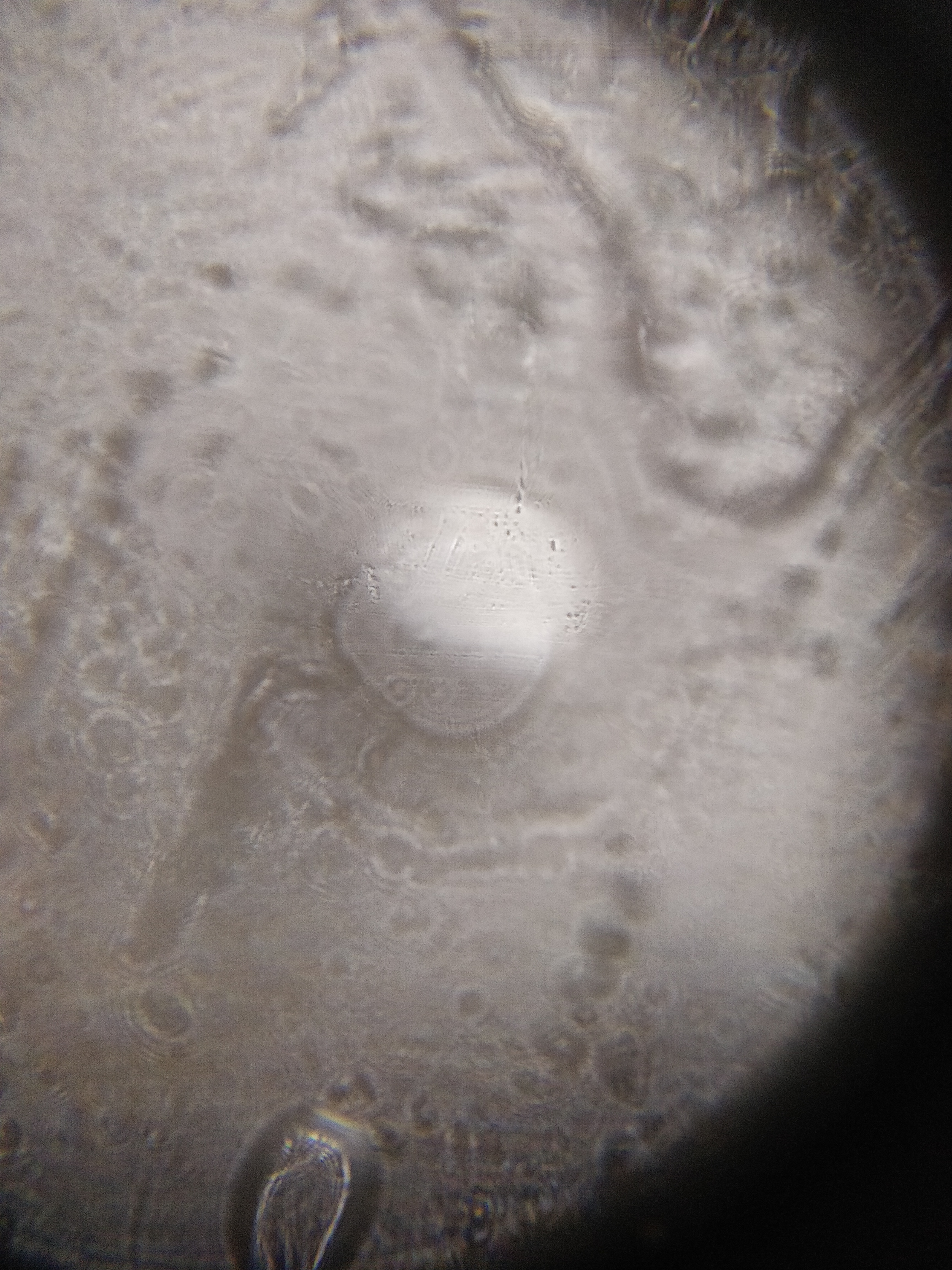 NaN%2FIMG_20240521_155953.jpg?alt=media&token=c519a114-7d5b-4f27-826c-6a4c792bbb58