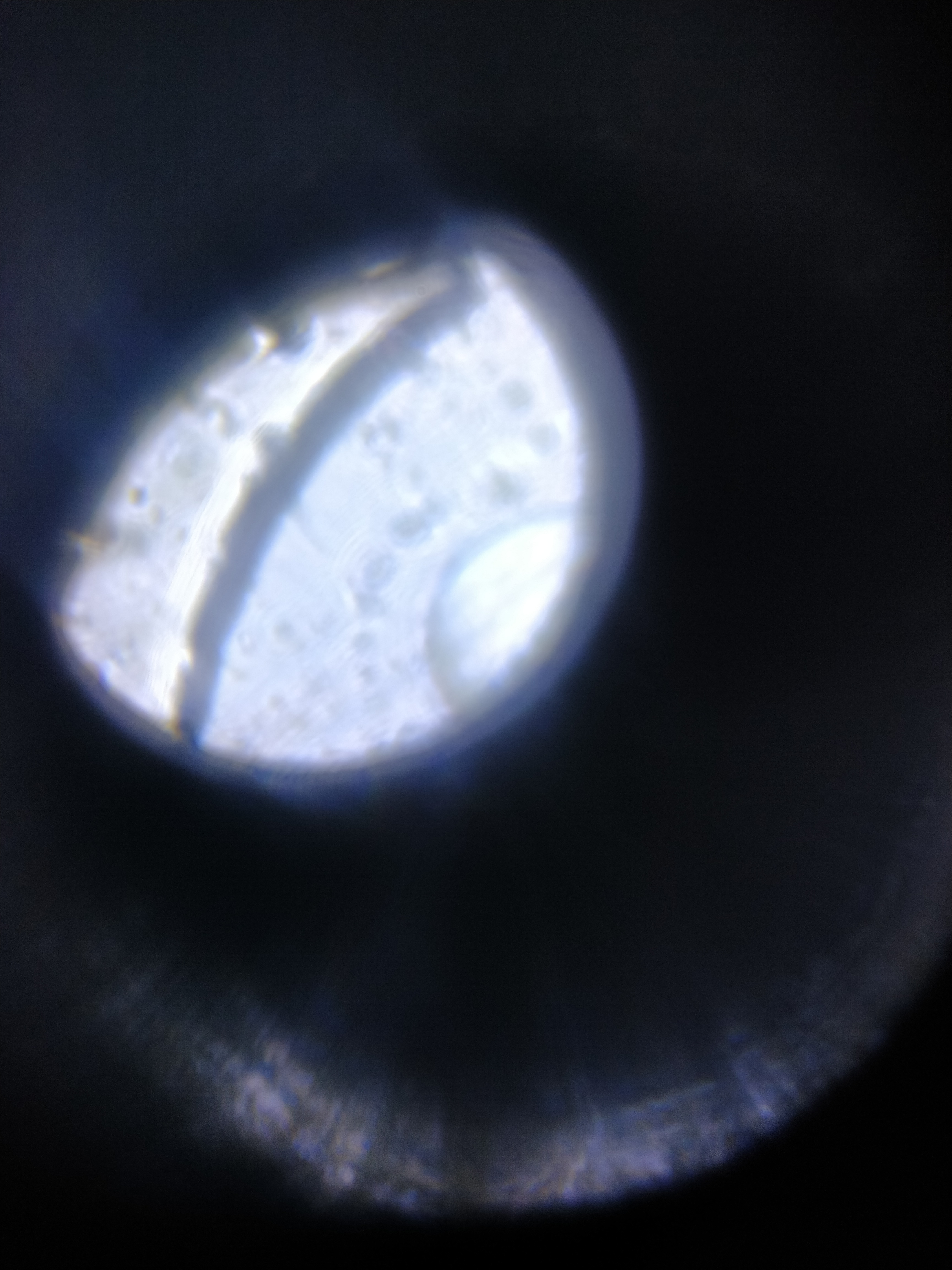 NaN%2FIMG_20240521_163427.jpg?alt=media&token=90e0c29b-8980-4605-8e04-6481667db0f3