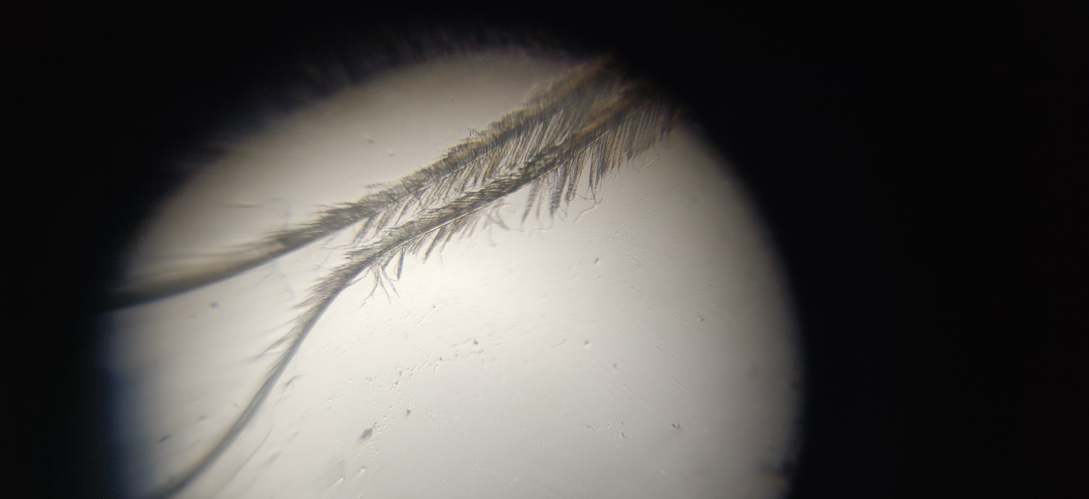 NaN%2FIMG_20240523_170237.jpg?alt=media&token=5de2a7d6-b7a1-4556-bbf8-f20bcf11b343