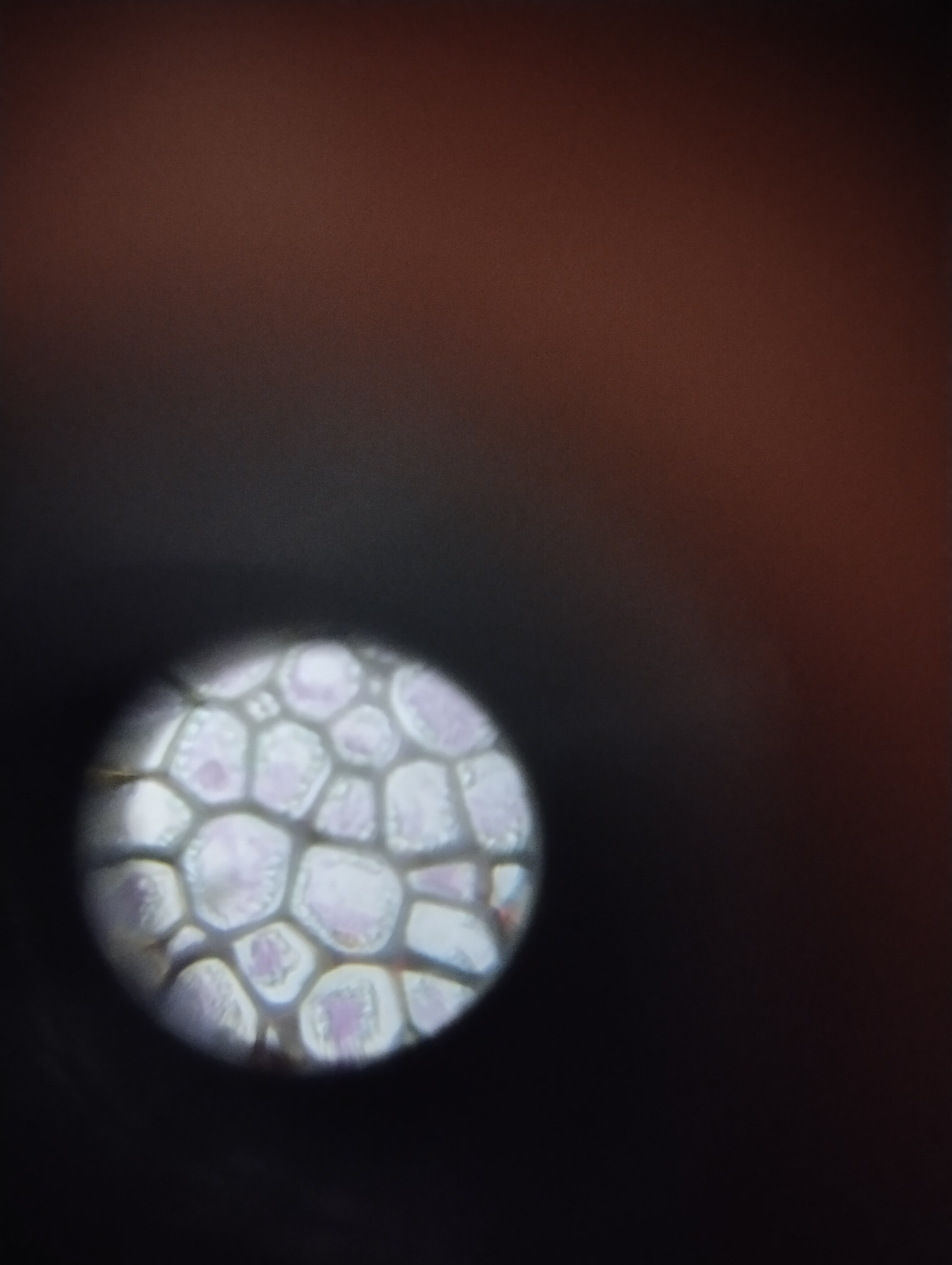 NaN%2FIMG_20240527_160040.jpg?alt=media&token=1dd8ce82-8075-4d8d-9096-6061664c4b5c