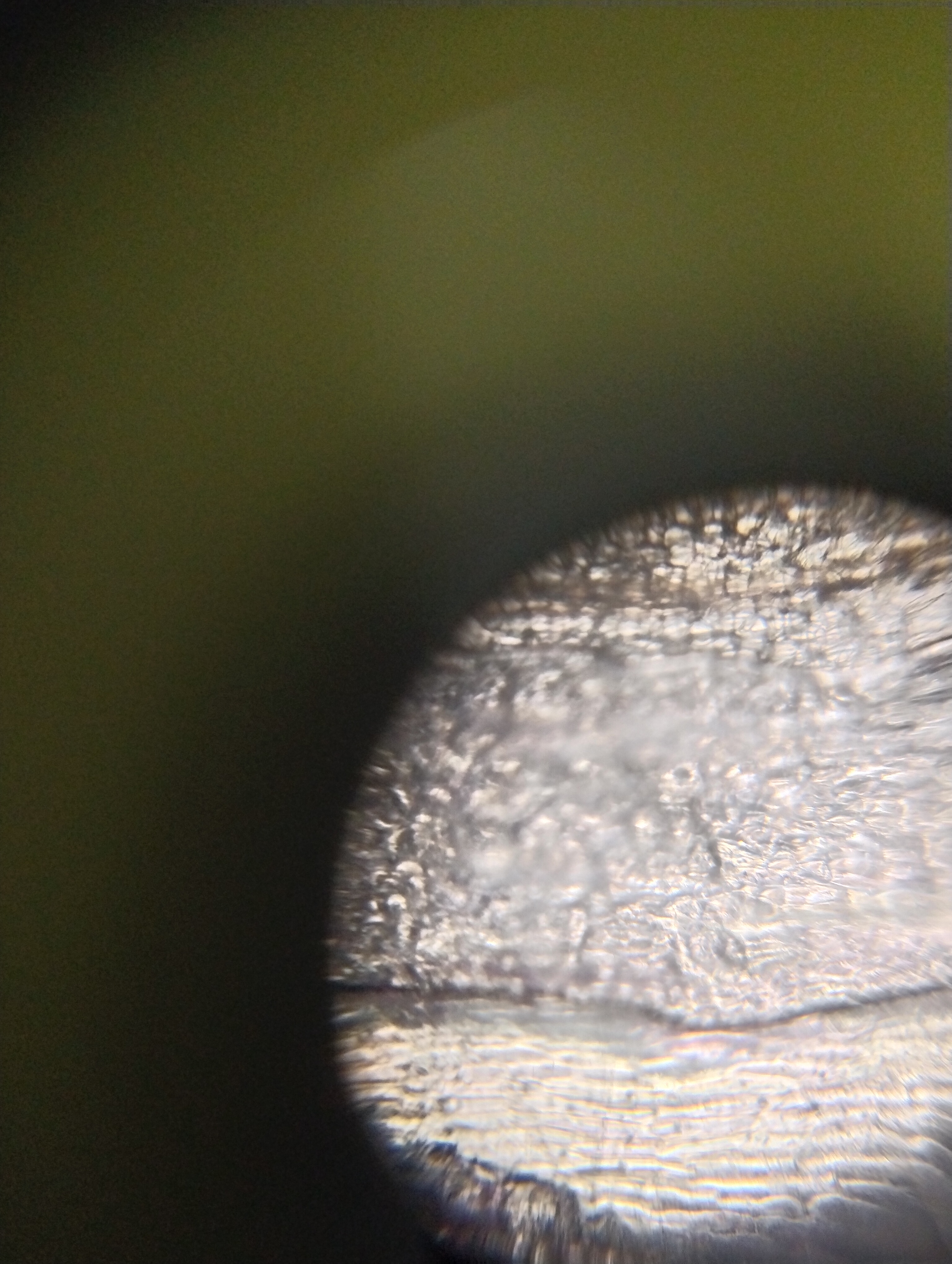 NaN%2FIMG_20240527_162553.jpg?alt=media&token=27f4cc27-6e20-4051-9041-17ecd448236a