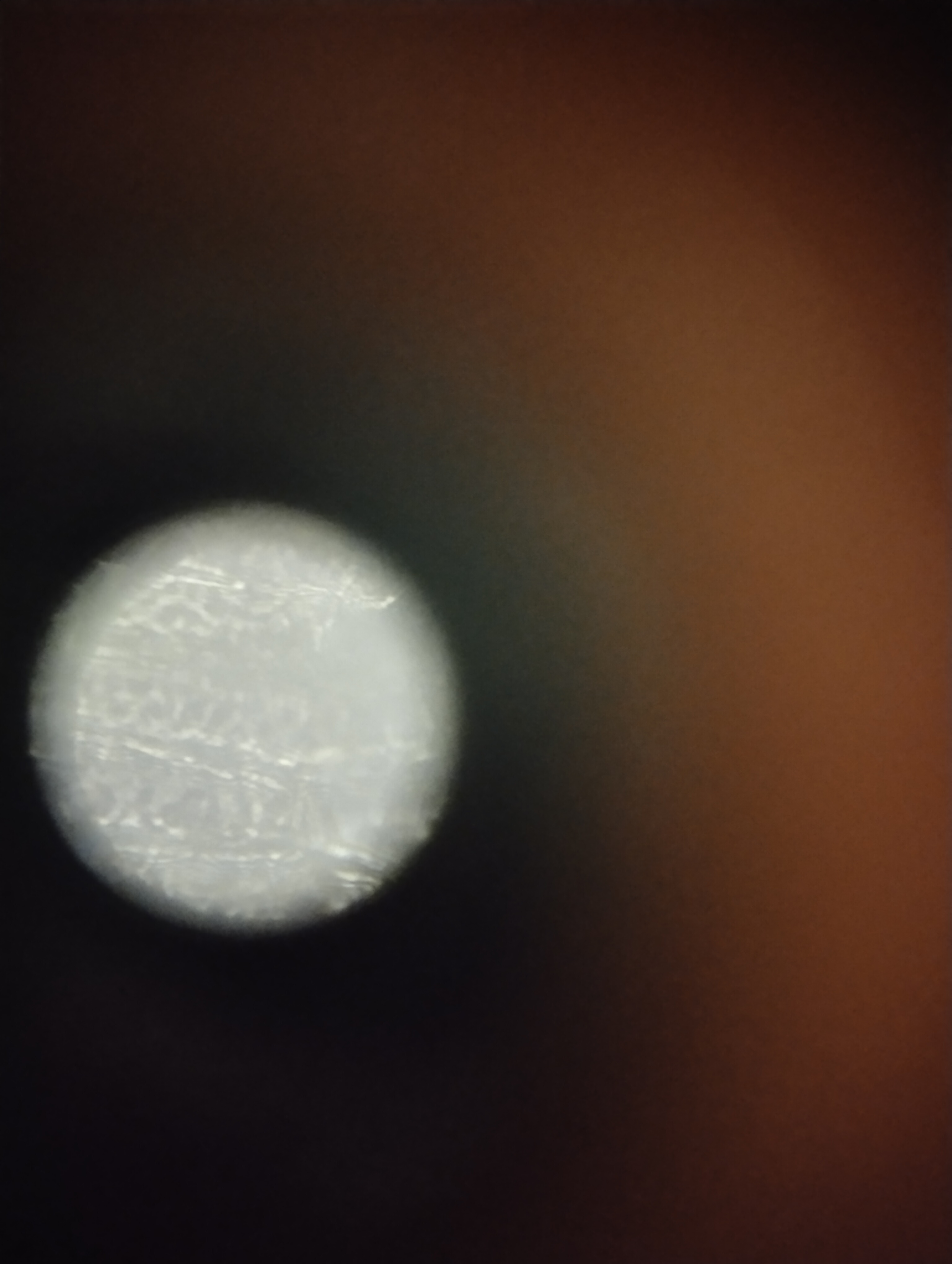 NaN%2FIMG_20240527_163154.jpg?alt=media&token=c4dd6822-ad4d-4de6-9e1c-cff7e16a29d9