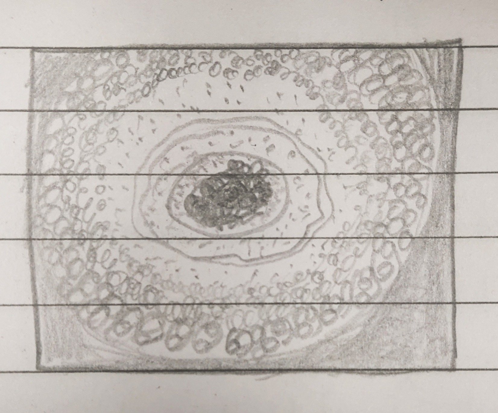 NaN%2FIMG_20240528_145836.jpg?alt=media&token=f12e42f0-1c1e-428c-9404-582303b0f12e